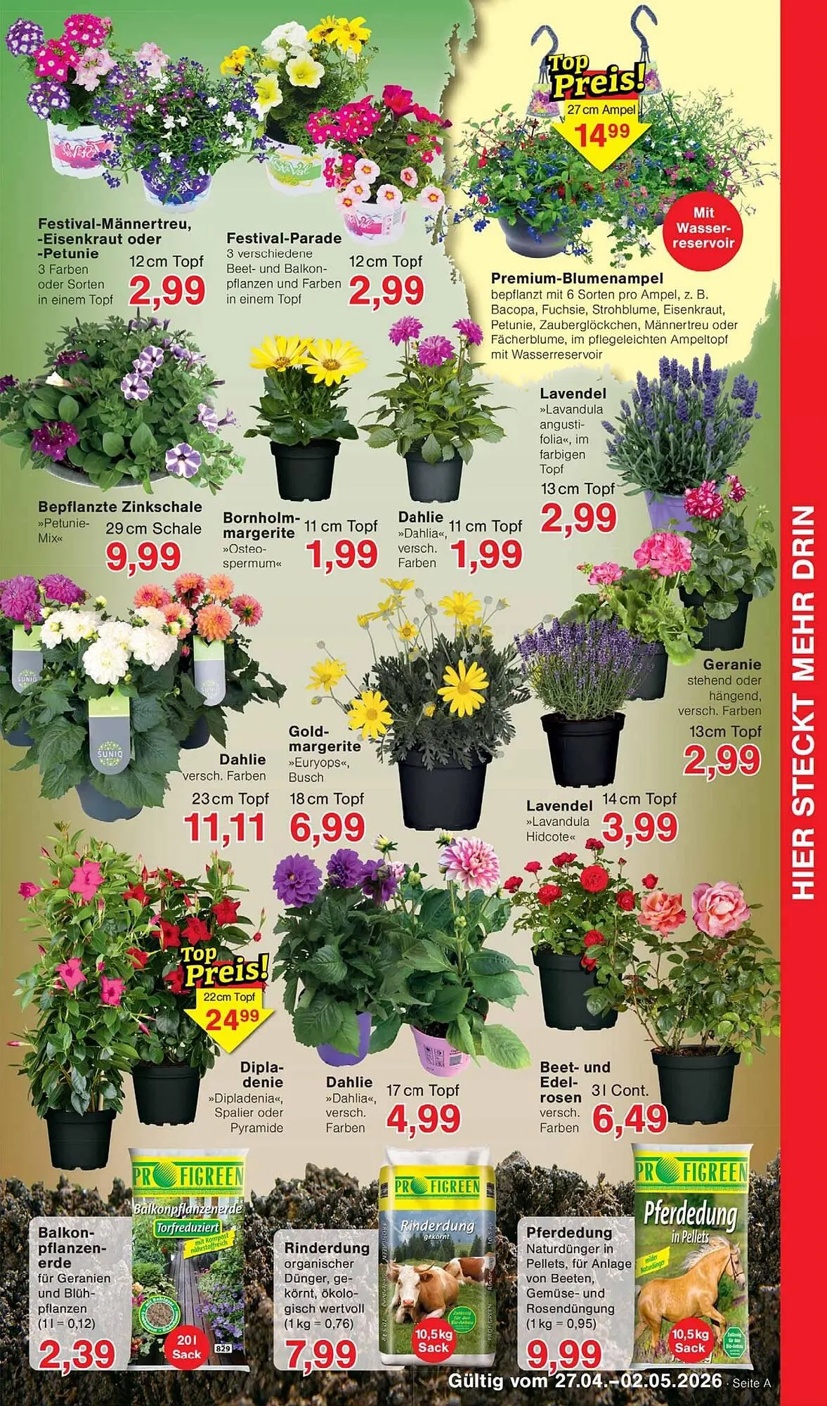 Wiglo Wunderland Prospekt von 27. April bis 2. Mai 2026 - Prospekt seite 7