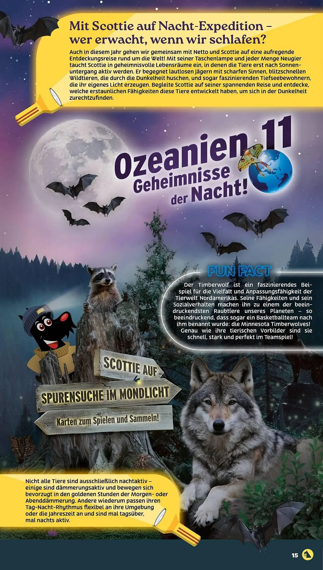 NETTO Prospekt von 28. Juli bis 2. August 2025 - Prospekt seite 15