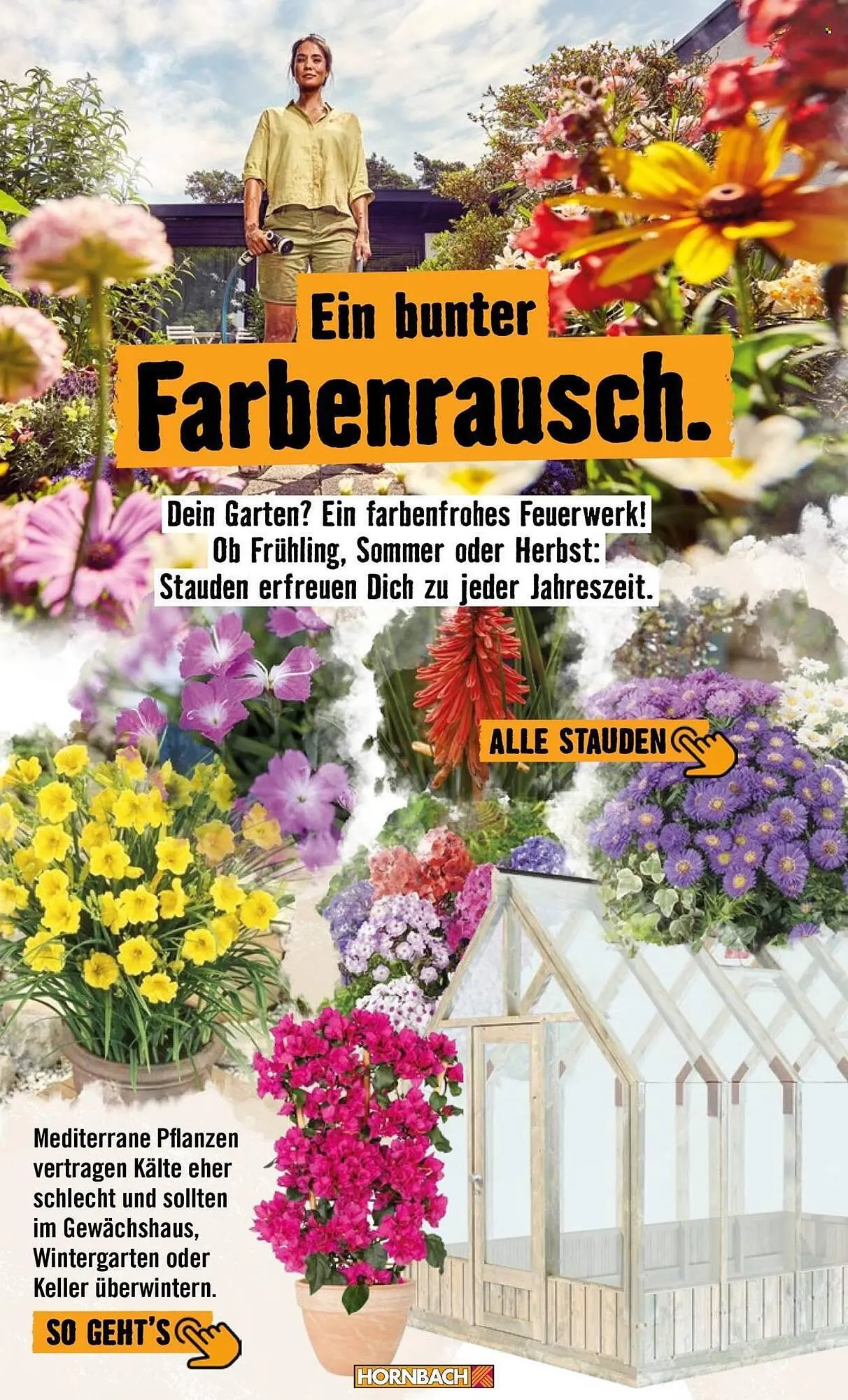 Hornbach Prospekt von 24. April bis 2. Mai 2026 - Prospekt seite 19