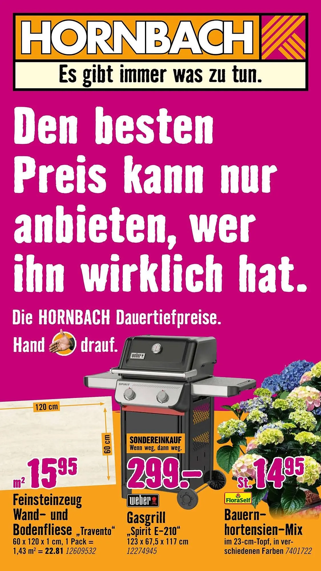 Hornbach Prospekt von 6. Mai bis 3. Juni 2026 - Prospekt seite 1