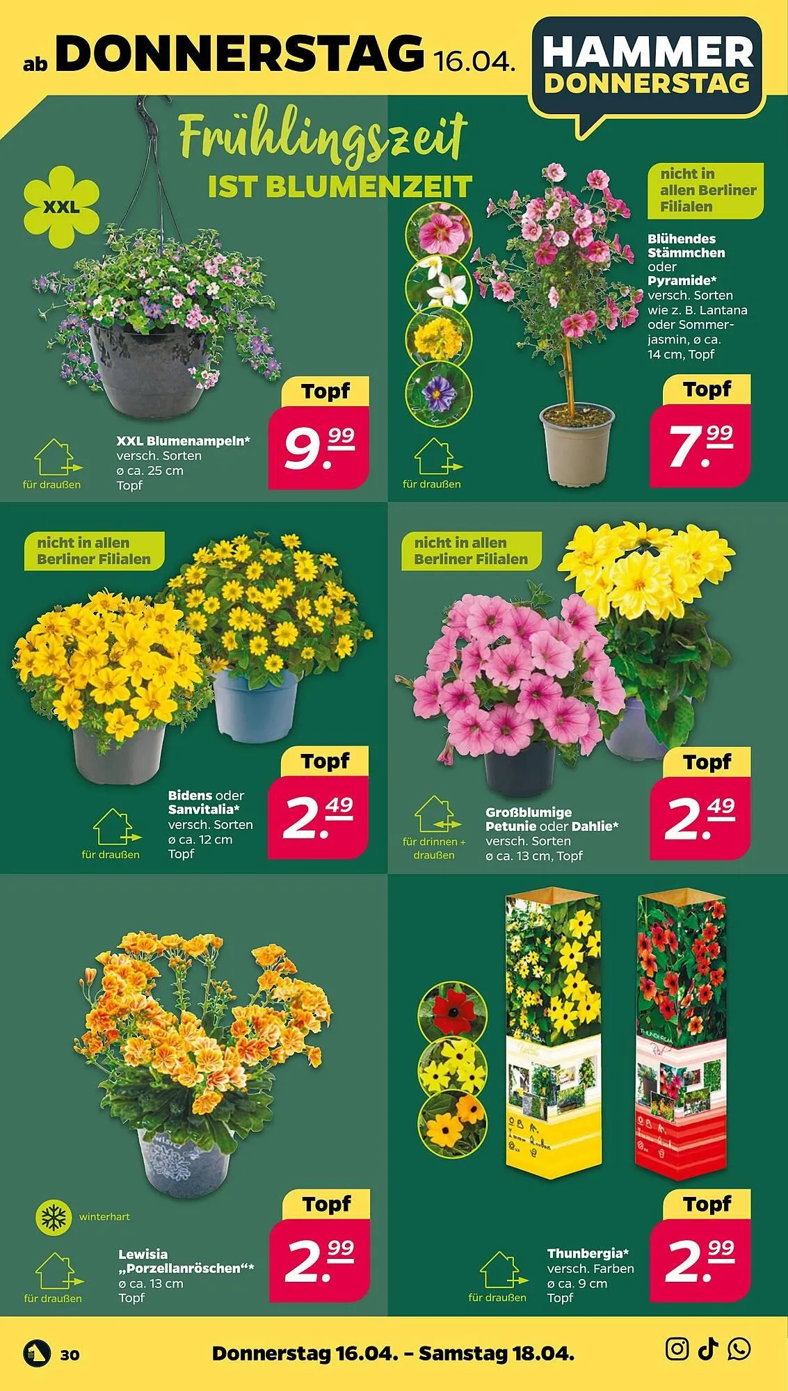 NETTO Prospekt von 13. April bis 18. April 2026 - Prospekt seite 34