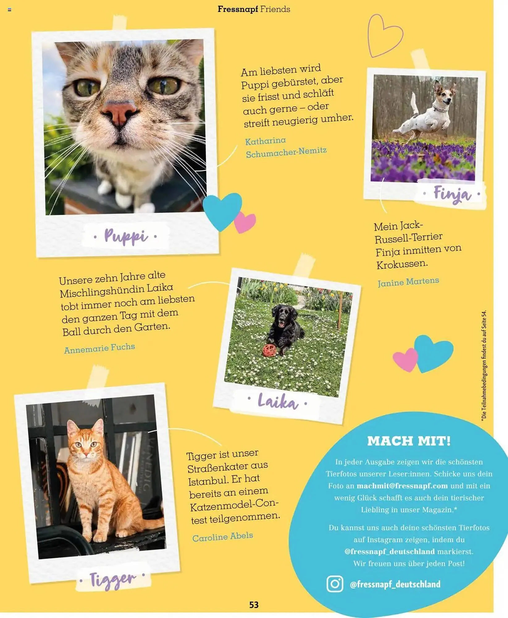 Fressnapf Prospekt von 1. März bis 30. April 2025 - Prospekt seite 53