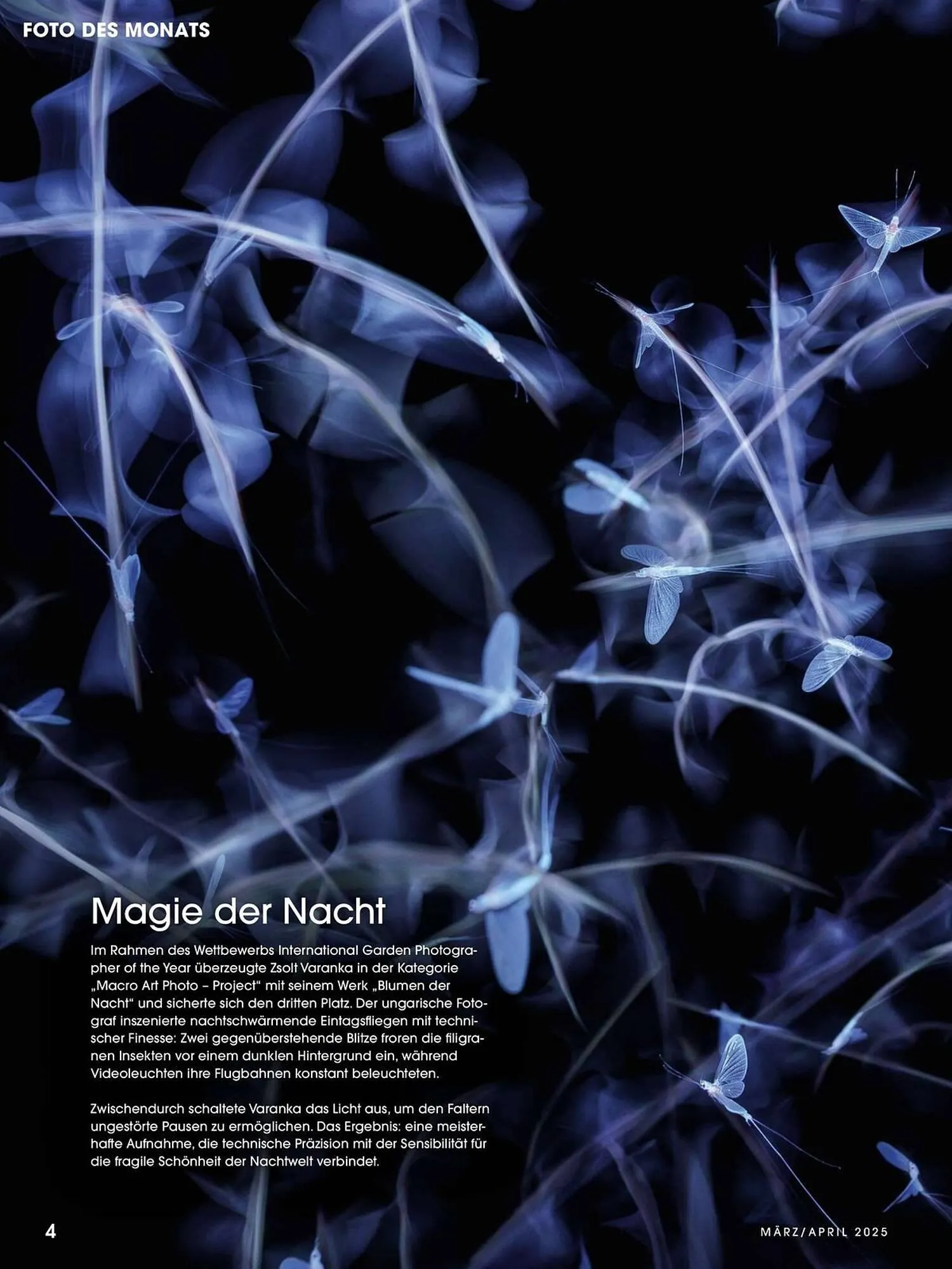 Ringfoto Prospekt von 1. März bis 30. April 2025 - Prospekt seite 4