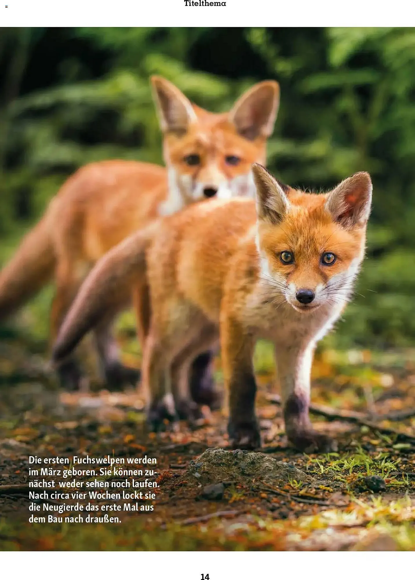 Fressnapf Magazin von 2. März bis 30. April 2026 - Prospekt seite 14