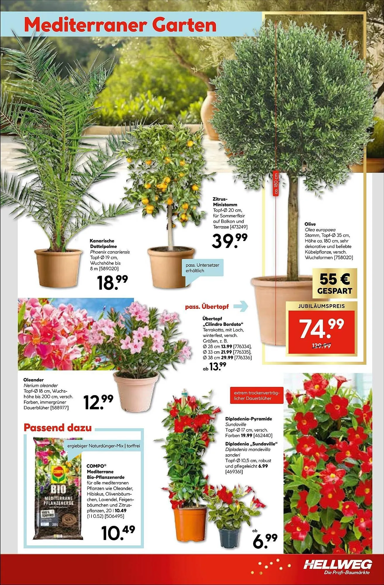 Hellweg Prospekt von 27. April bis 2. Mai 2026 - Prospekt seite 21