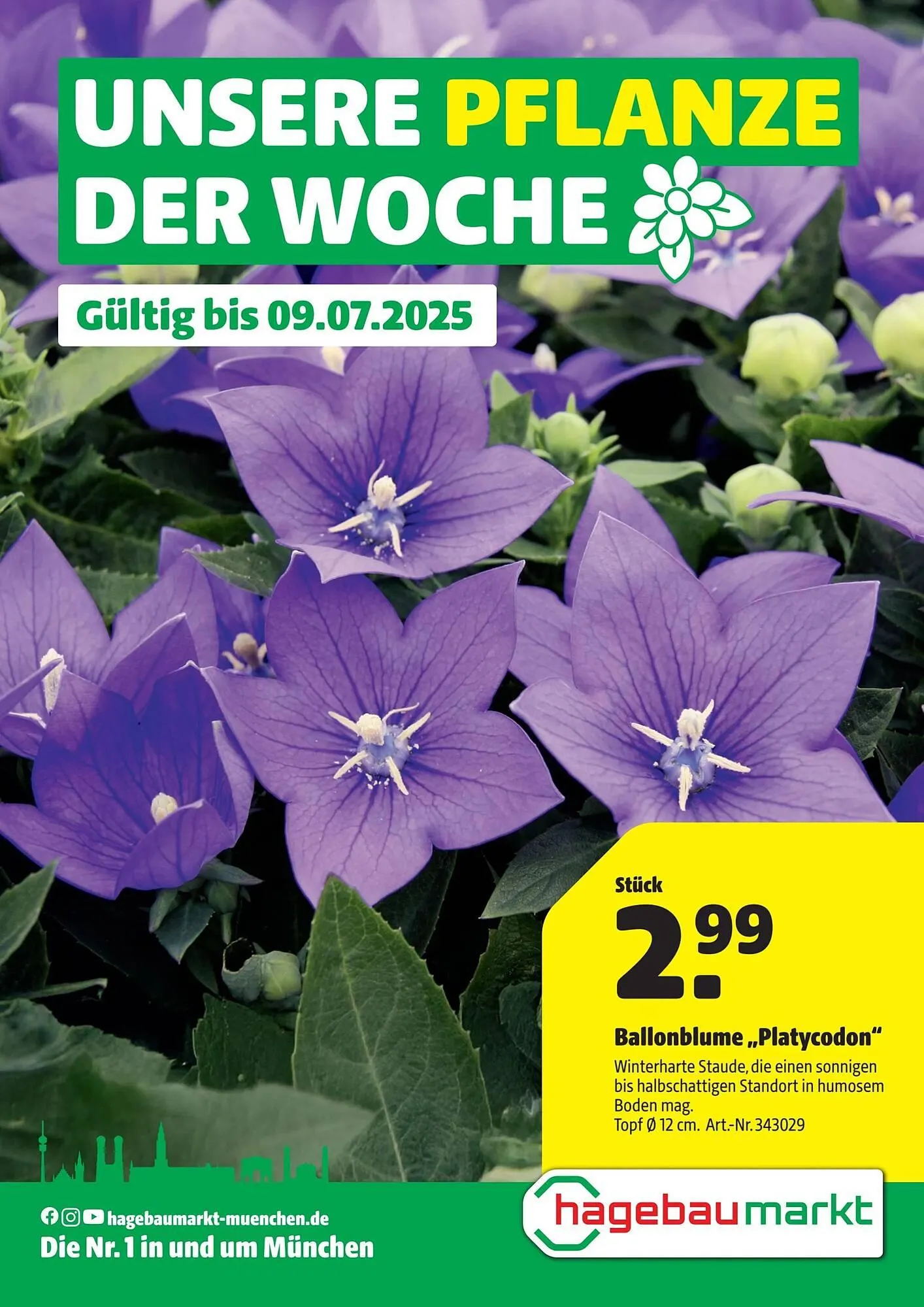 Hagebau Prospekt - 1