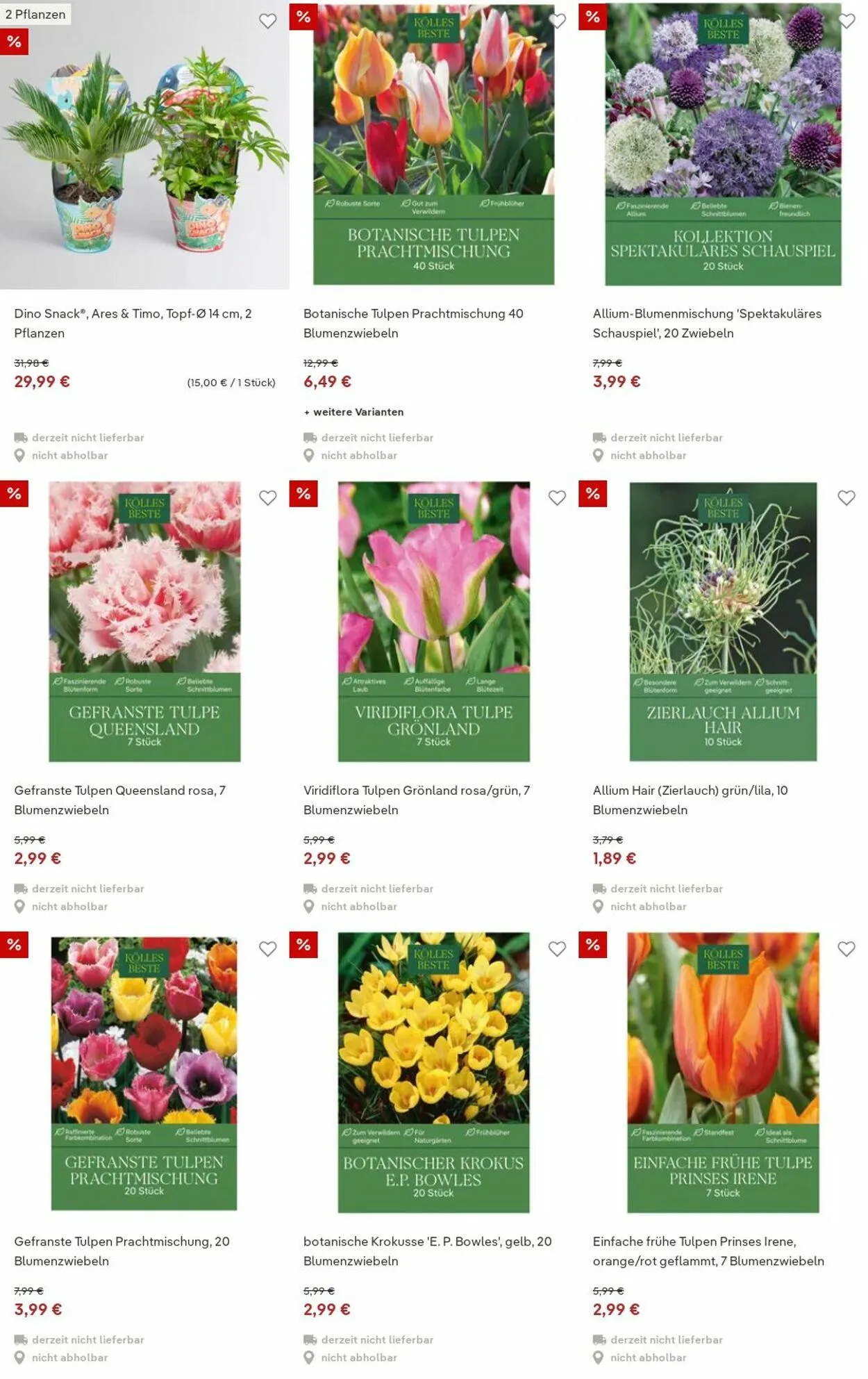 Pflanzen-Kölle Aktueller Prospekt von 15. Dezember bis 24. Dezember 2025 - Prospekt seite 16