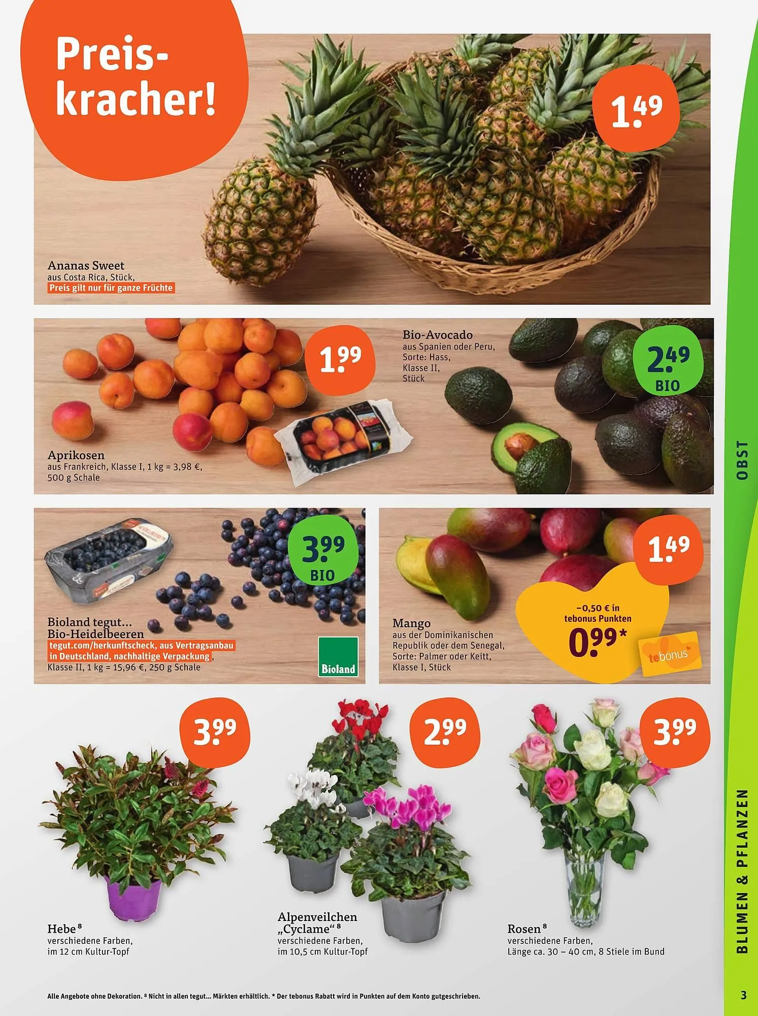 basic Prospekt von 31. Juli bis 2. August 2025 - Prospekt seite 5