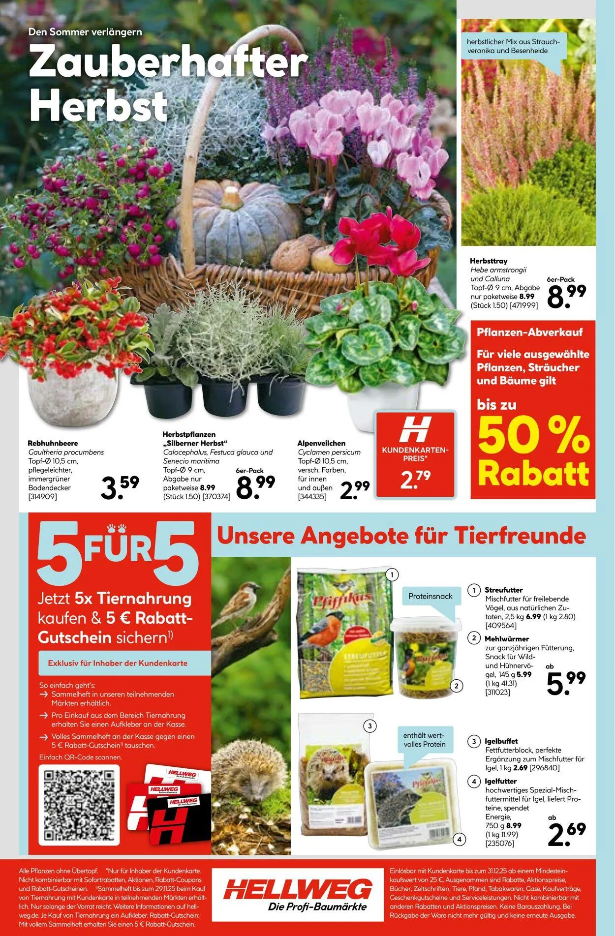 Hellweg Aktueller Prospekt von 8. Dezember bis 22. Dezember 2025 - Prospekt seite 24
