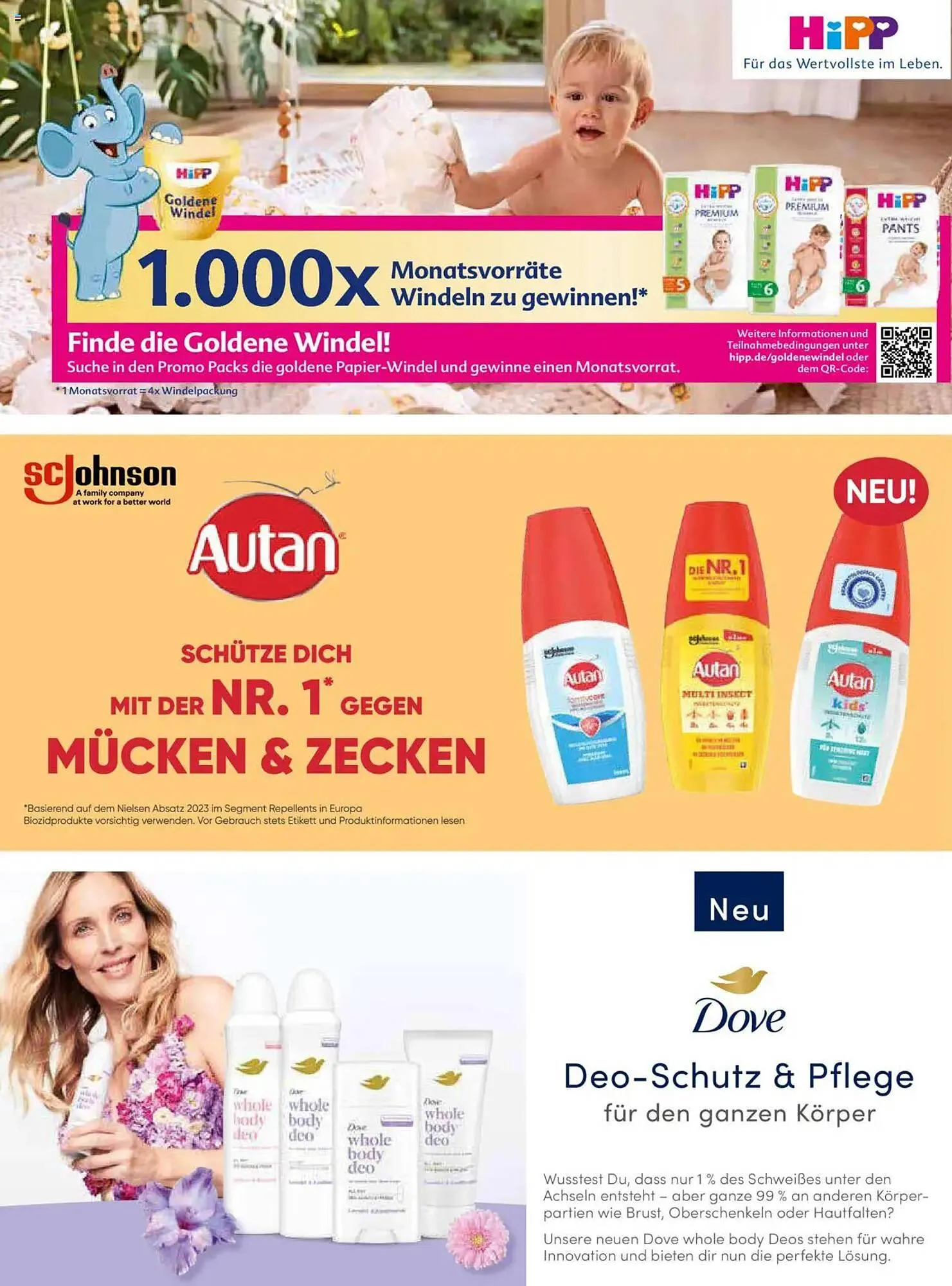 V Markt Prospekt von 1. Juli bis 31. August 2025 - Prospekt seite 41