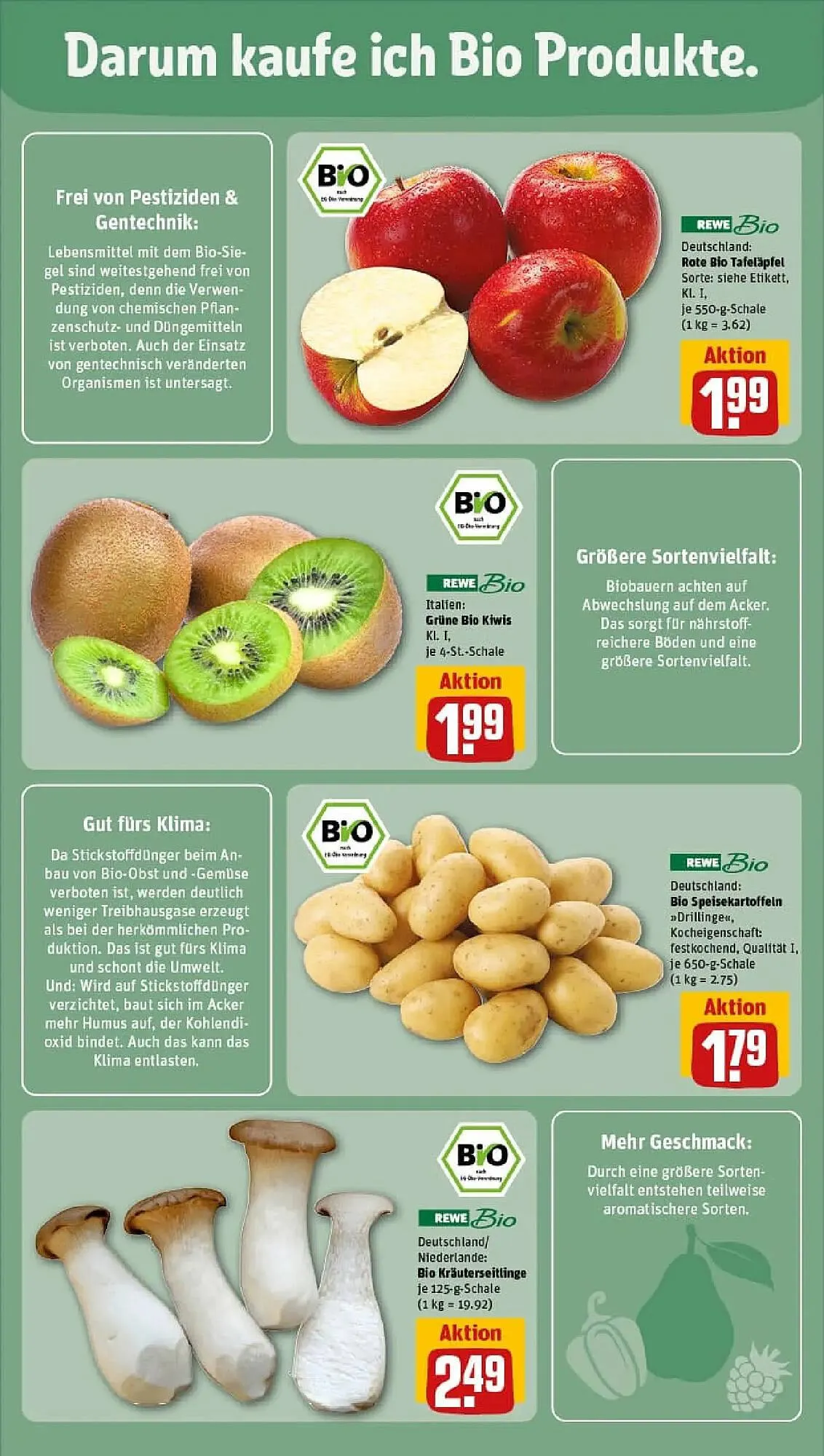 REWE Prospekt von 1. Februar bis 8. Februar 2026 - Prospekt seite 11