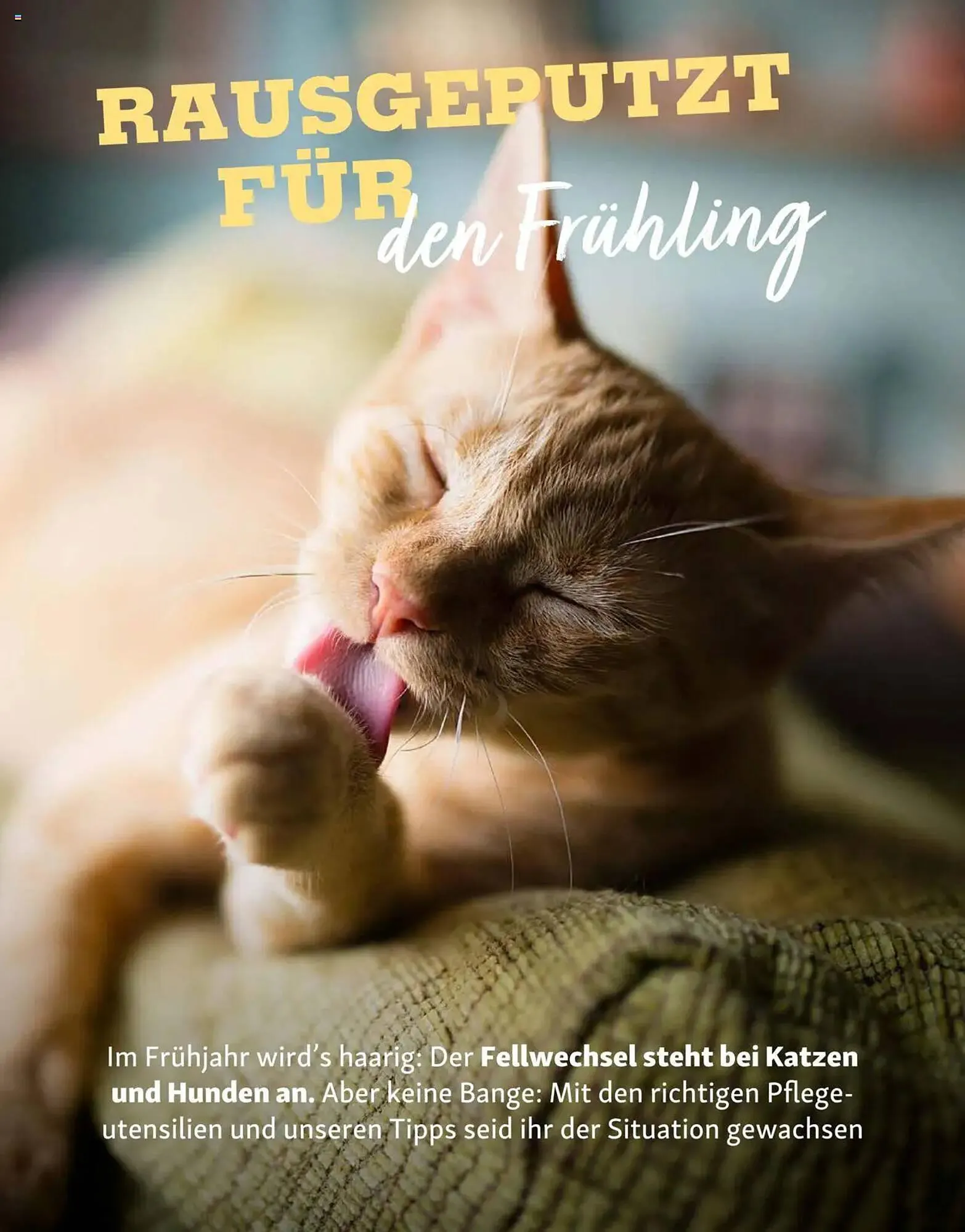 Fressnapf Prospekt von 1. März bis 2. Mai 2025 - Prospekt seite 16