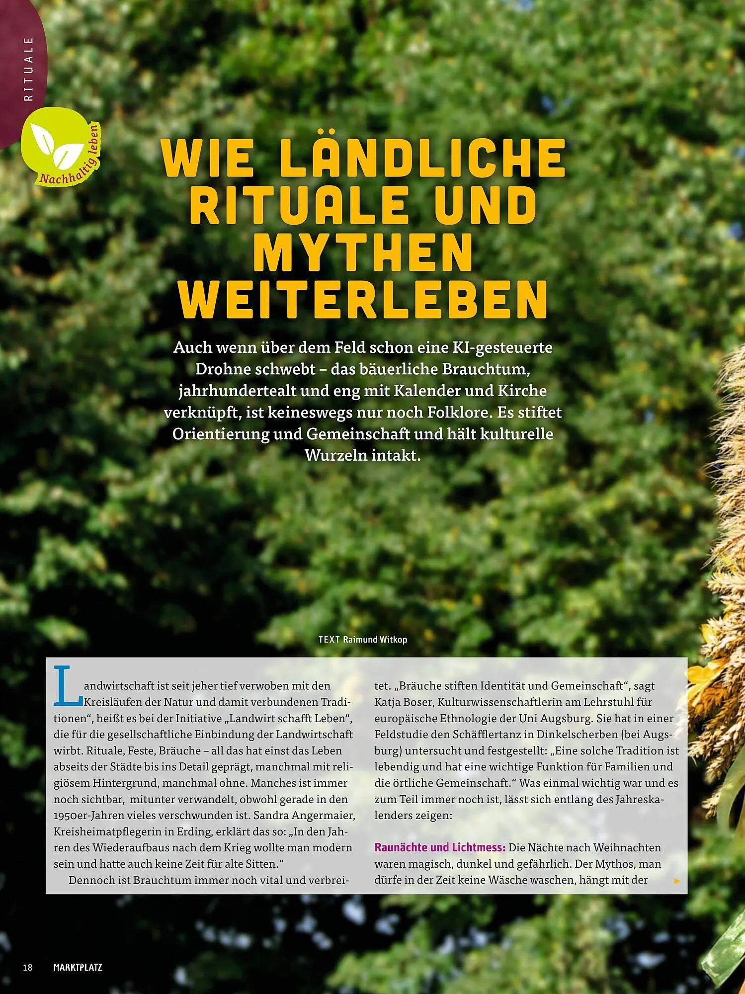 tegut Prospekt von 13. Januar bis 18. Januar 2025 - Prospekt seite 16