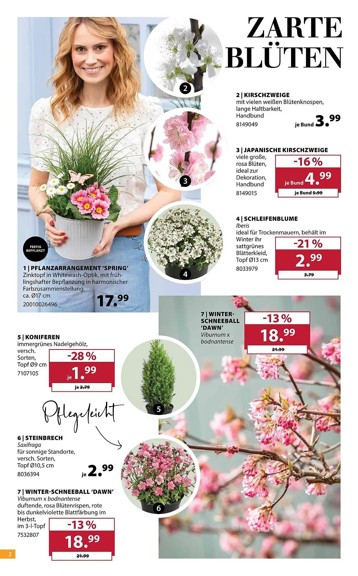 Dehner Prospekt von 11. März bis 16. März 2026 - Prospekt seite 2