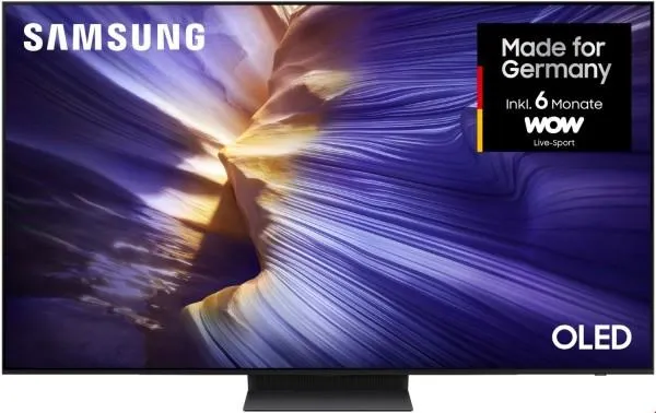 Samsung GQ65S93FAT 163 cm (65") OLED Vision AI Smart TV graphitschwarz