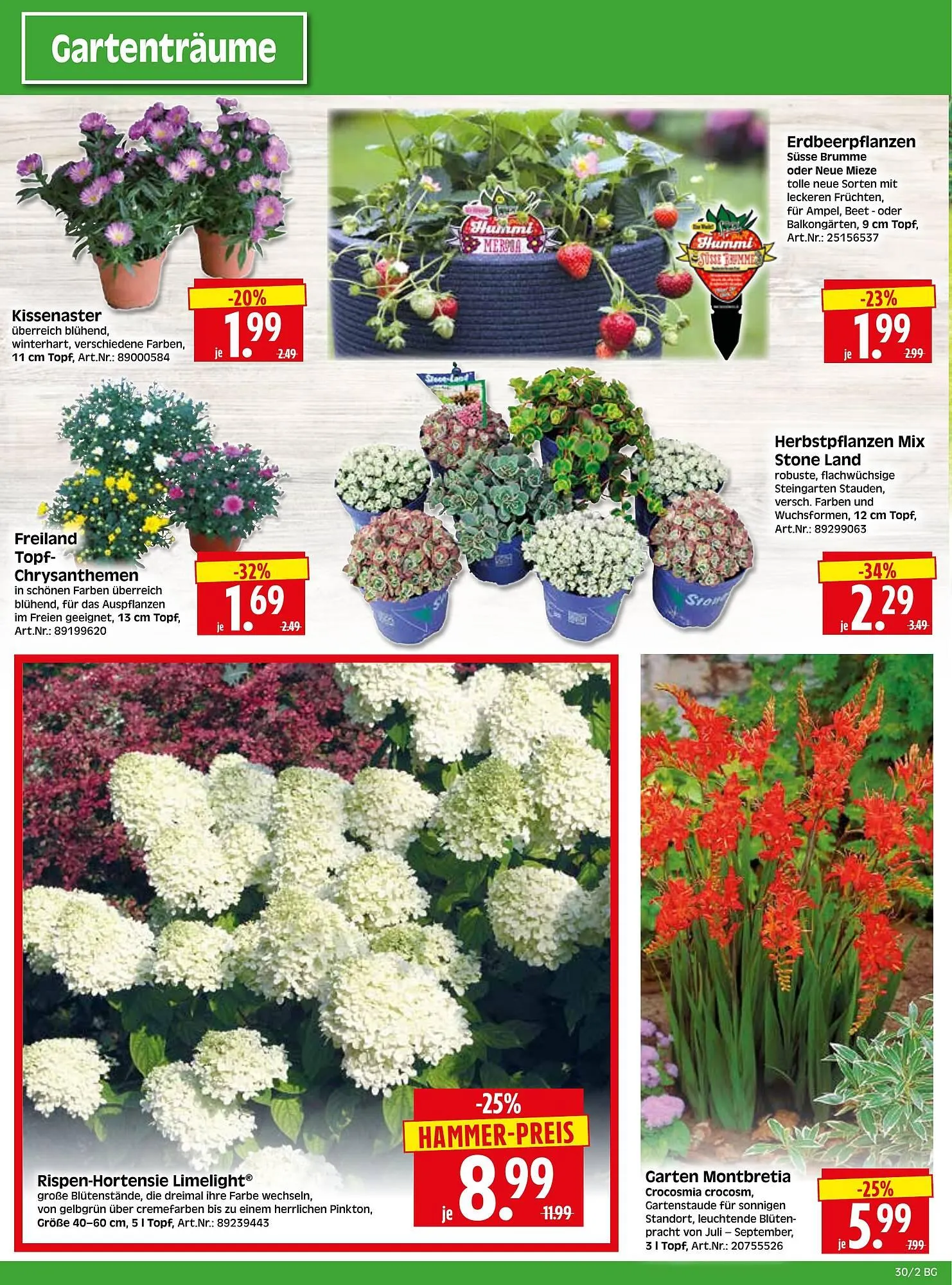 Herkules Baumarkt Prospekt von 21. Juli bis 26. Juli 2025 - Prospekt seite 2