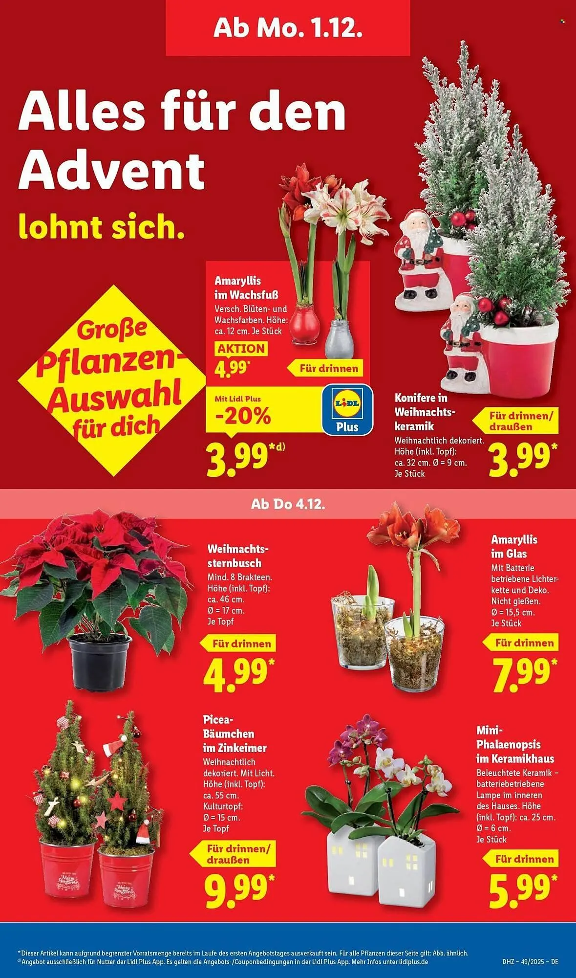 Lidl Prospekt von 1. Dezember bis 6. Dezember 2025 - Prospekt seite 65