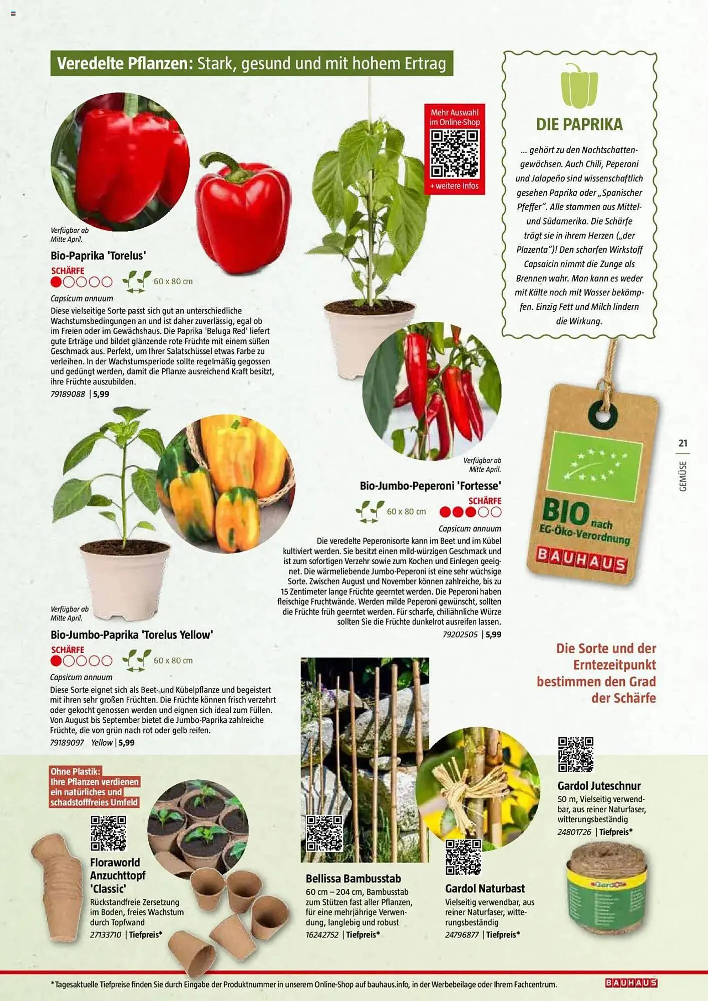 Bauhaus Prospekt von 20. Januar bis 30. Juni 2025 - Prospekt seite 21