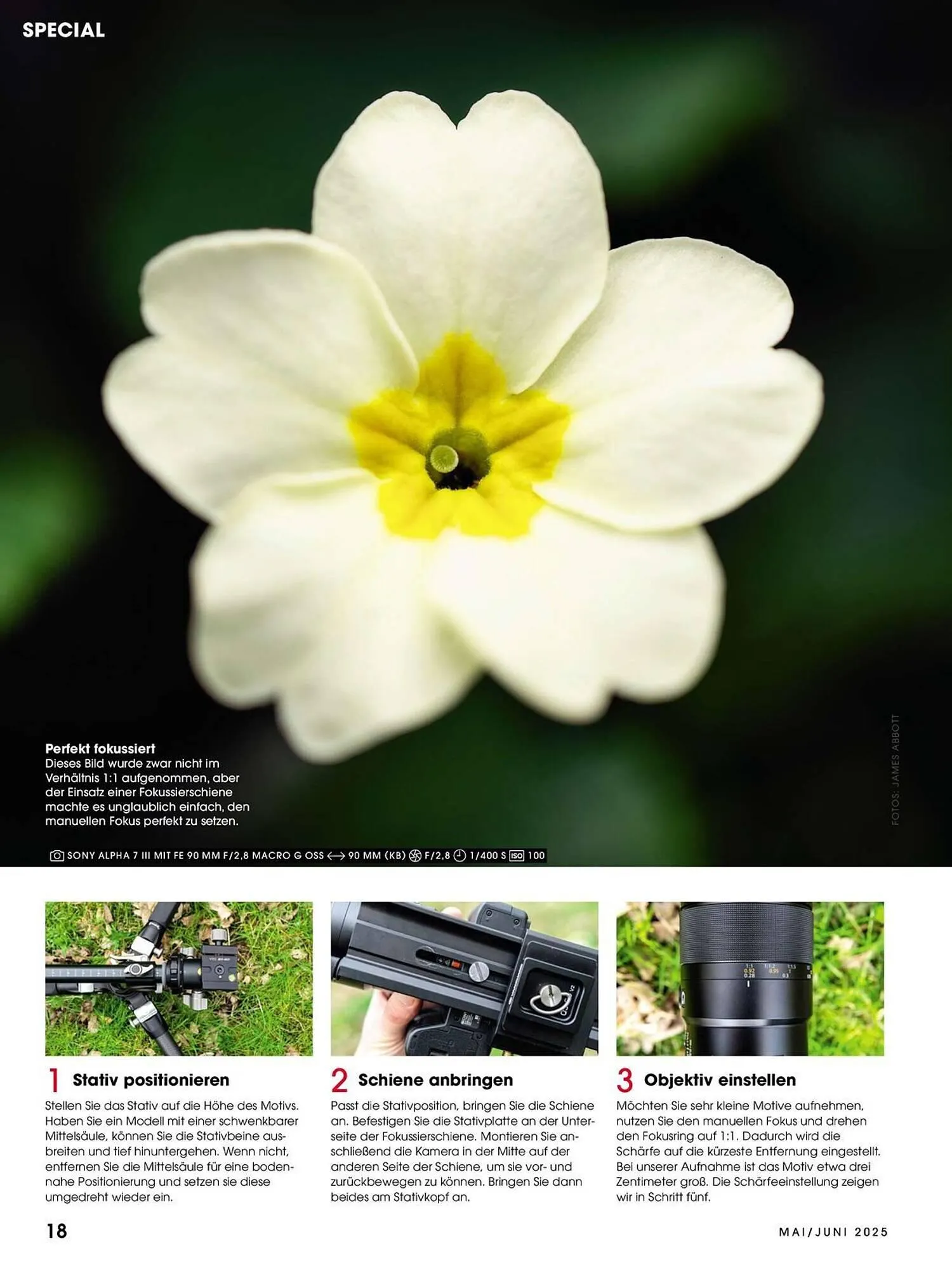 Ringfoto Prospekt von 22. Mai bis 30. Juni 2025 - Prospekt seite 18