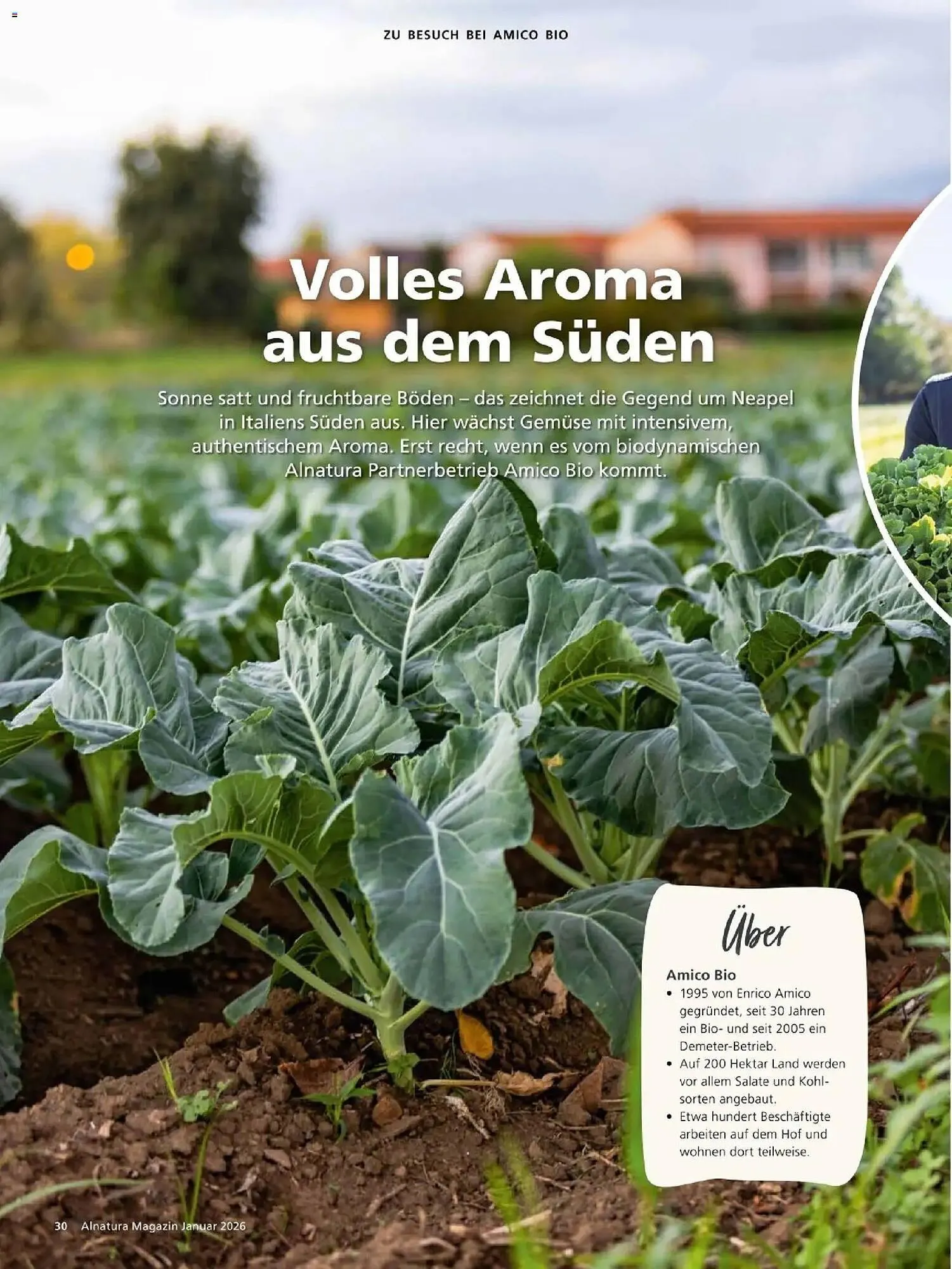 Alnatura Prospekt von 1. Januar bis 31. Januar 2026 - Prospekt seite 30