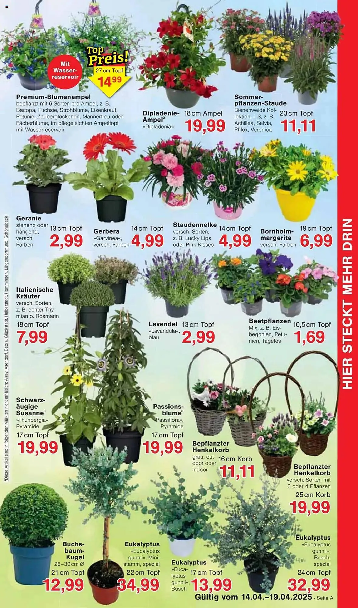 Jawoll Prospekt von 14. April bis 19. April 2025 - Prospekt seite 7