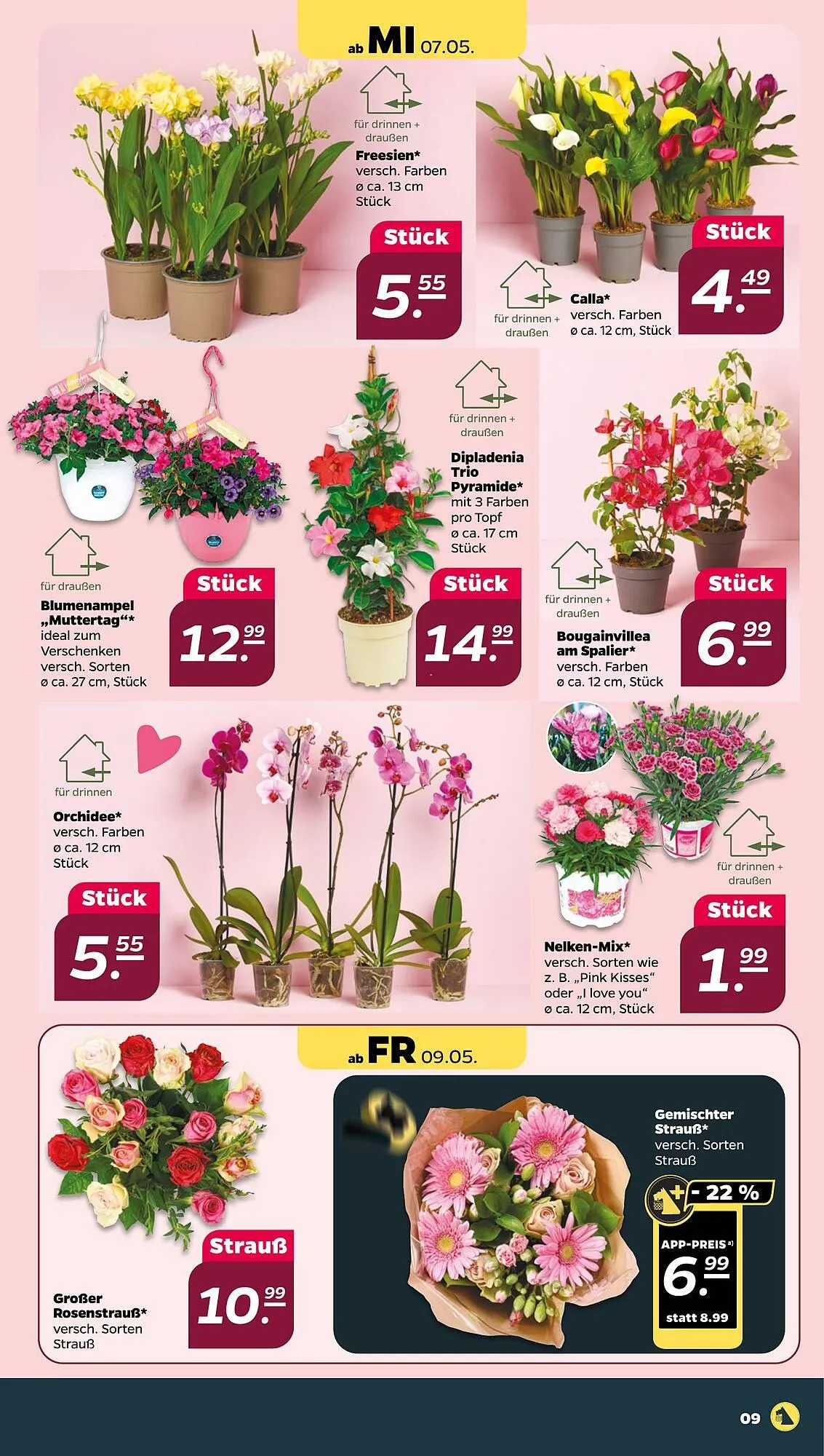 NETTO Prospekt von 5. Mai bis 10. Mai 2025 - Prospekt seite 9