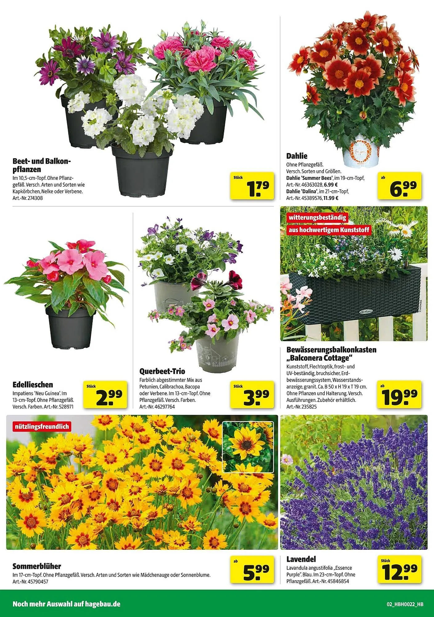 Hagebau Prospekt von 24. Mai bis 31. Mai 2025 - Prospekt seite 2