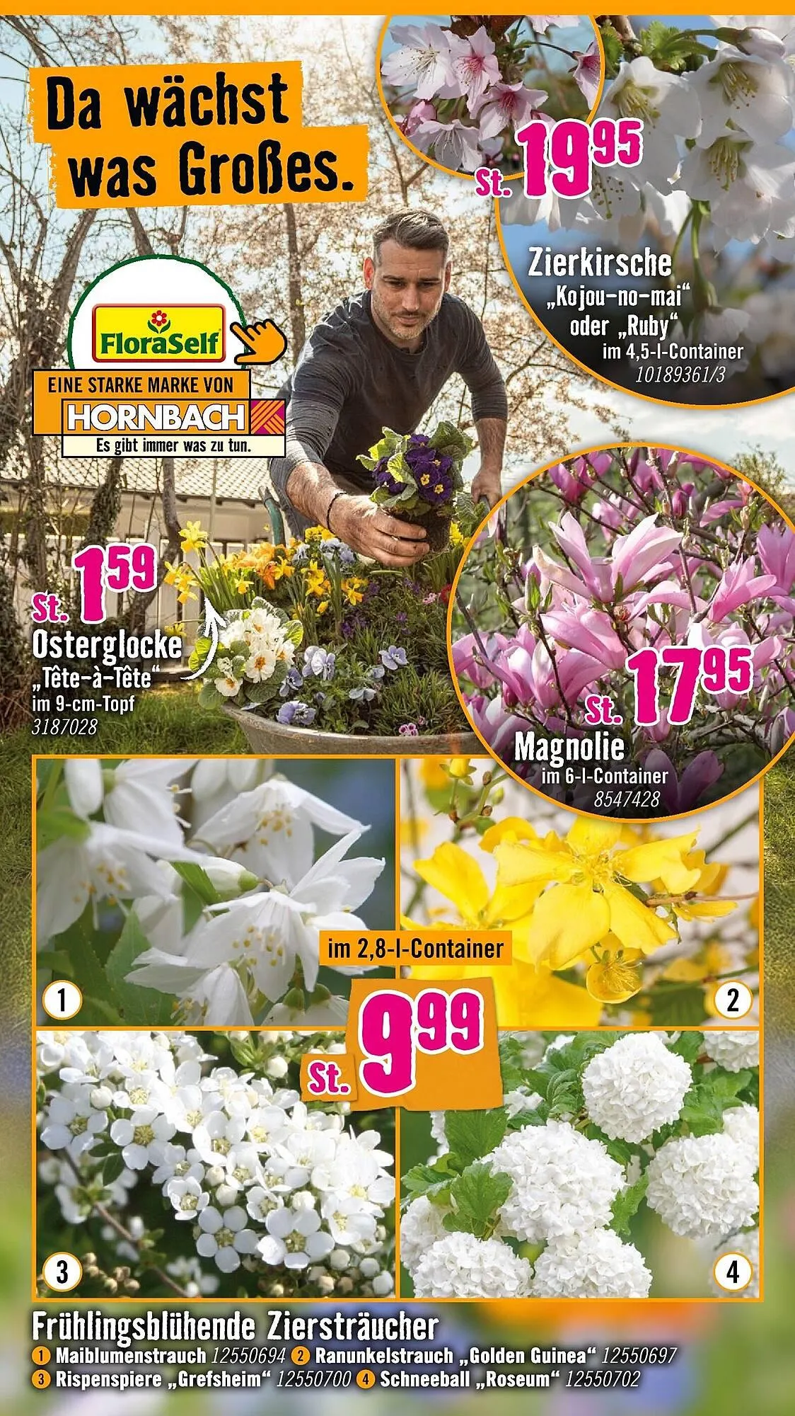 Hornbach Prospekt von 11. März bis 8. April 2026 - Prospekt seite 2