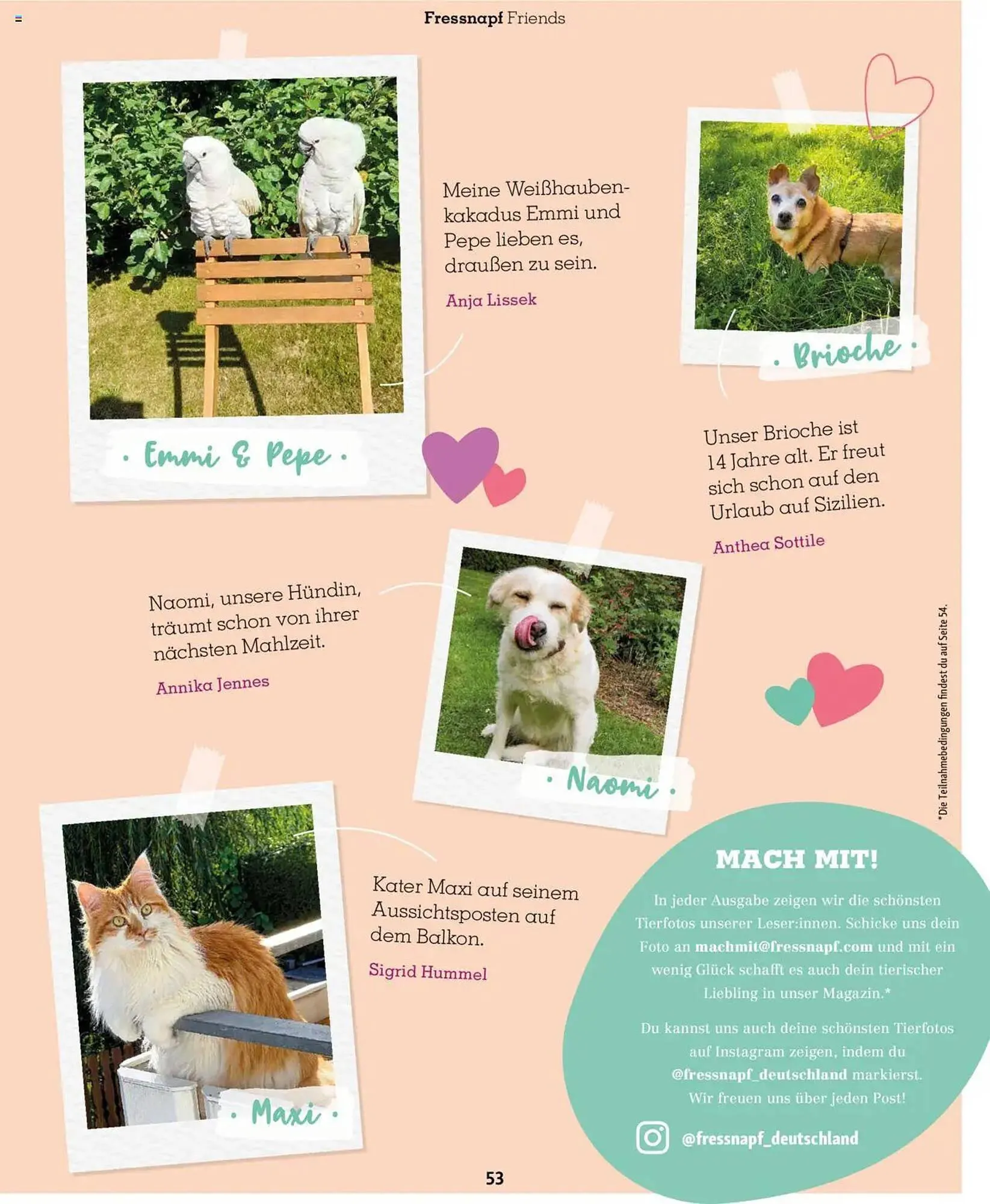 Fressnapf Prospekt von 1. Mai bis 30. Juni 2025 - Prospekt seite 53