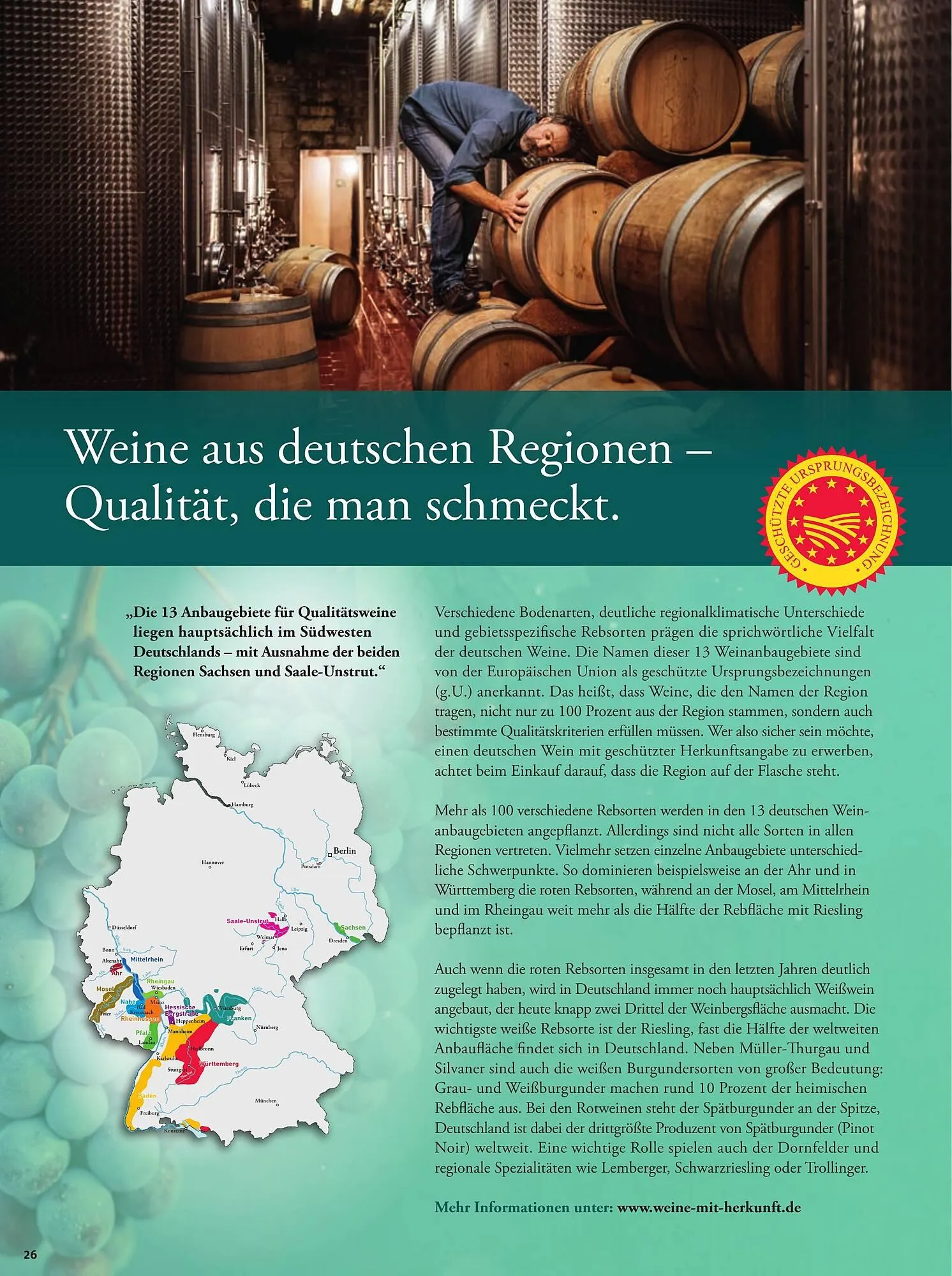 Basic Prospekt von 15. Dezember bis 20. Dezember 2025 - Prospekt seite 28