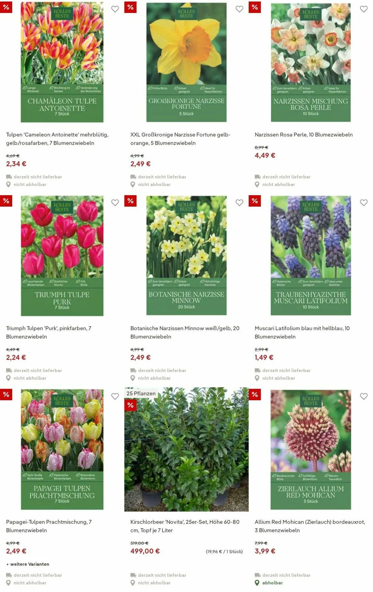 Pflanzen-Kölle Aktueller Prospekt von 15. Dezember bis 24. Dezember 2025 - Prospekt seite 76