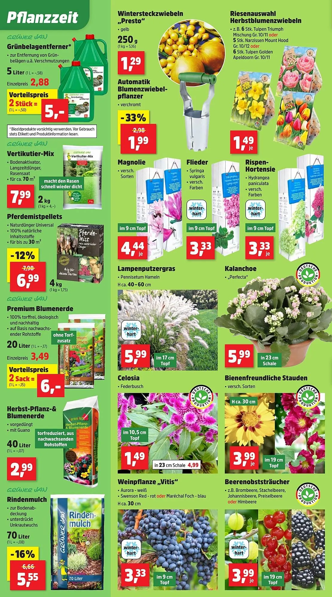 Thomas Philipps Prospekt von 18. August bis 23. August 2025 - Prospekt seite 2