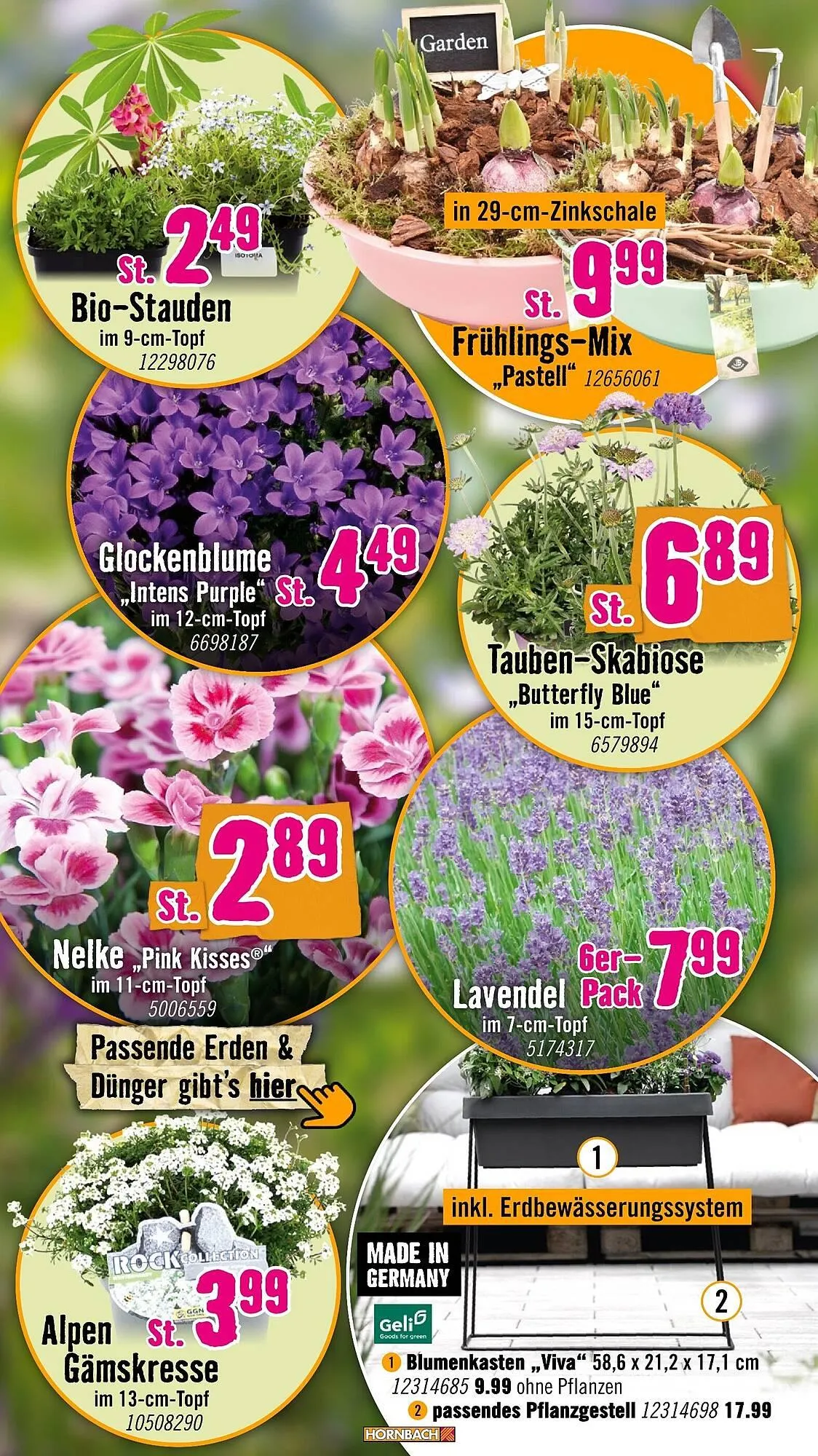 Hornbach Prospekt von 11. März bis 8. April 2026 - Prospekt seite 3