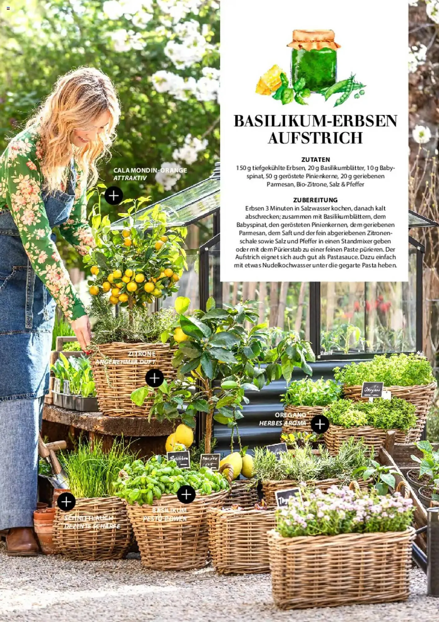 Dehner Prospekt von 6. März bis 9. Juni 2025 - Prospekt seite 18