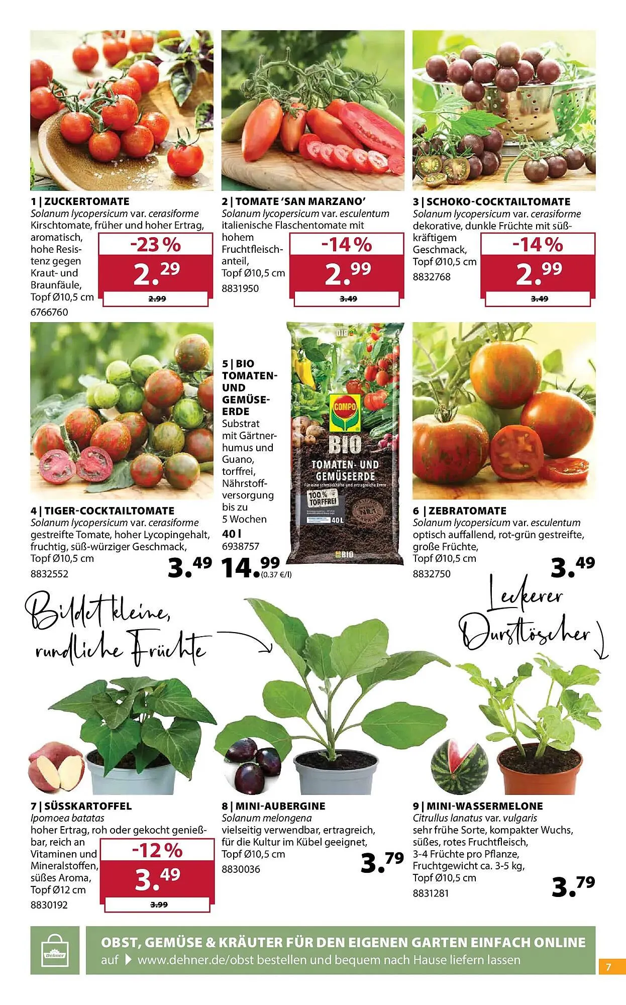 Dehner Prospekt von 21. April bis 27. April 2026 - Prospekt seite 7