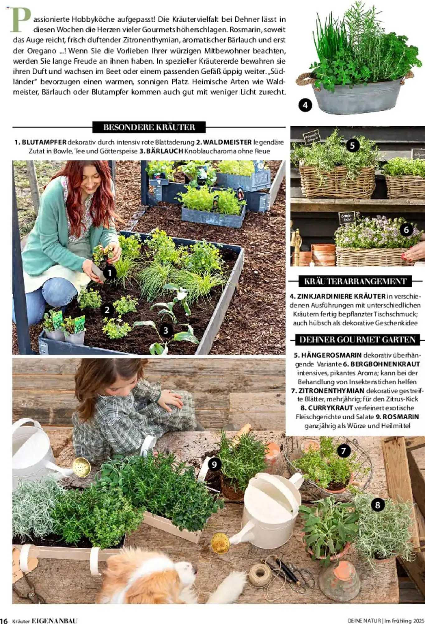 Dehner Prospekt von 6. März bis 9. Juni 2025 - Prospekt seite 16