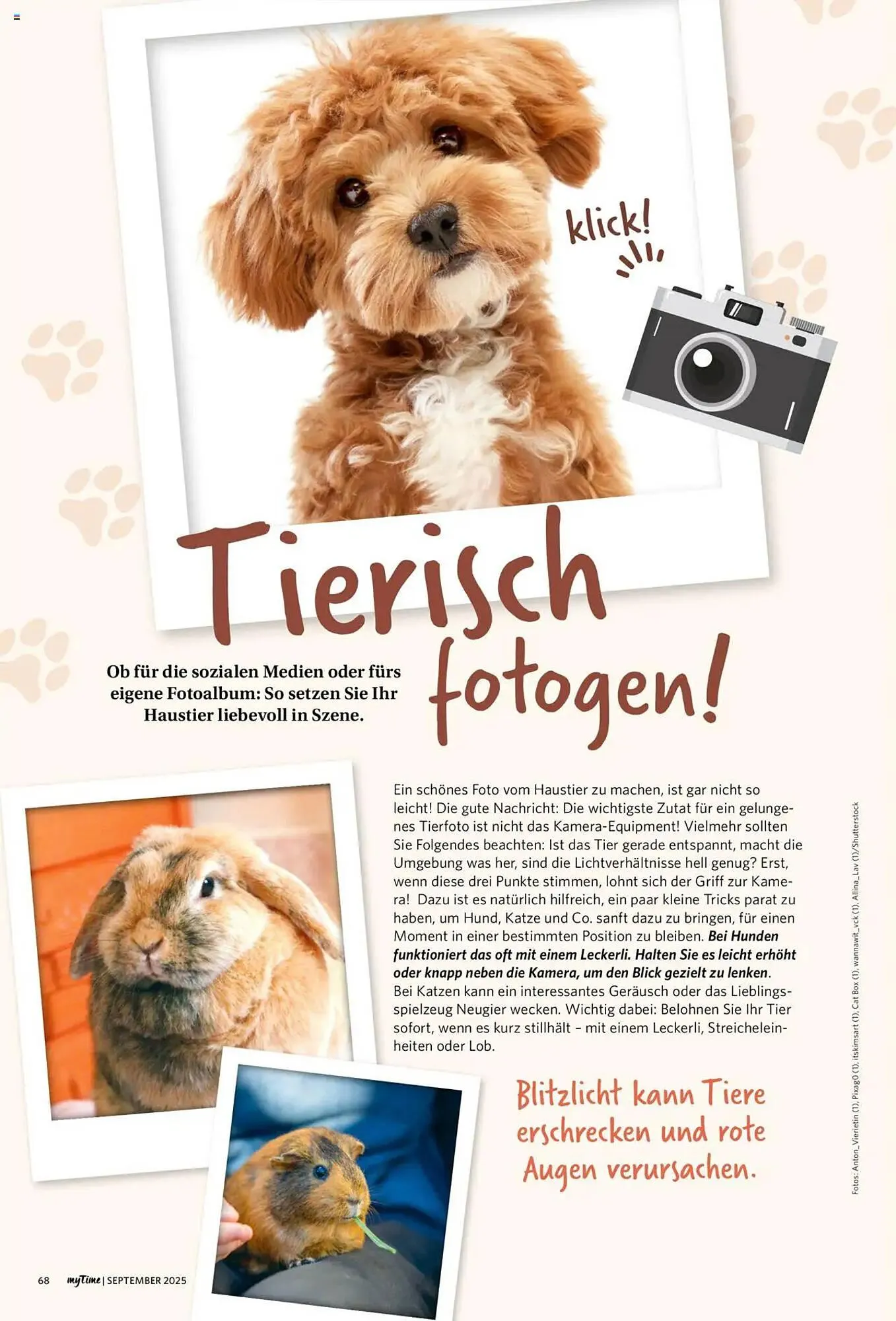 Combi Prospekt von 1. September bis 30. September 2026 - Prospekt seite 68