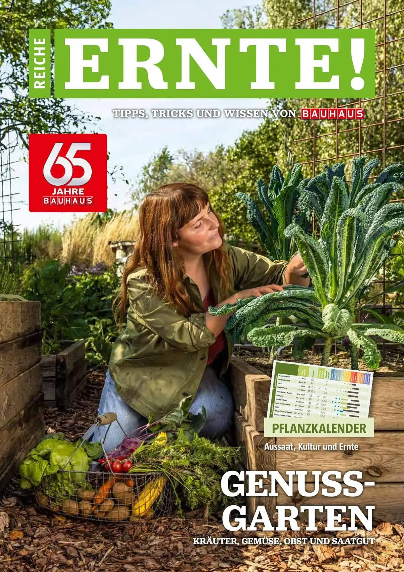 Bauhaus Prospekt - 1