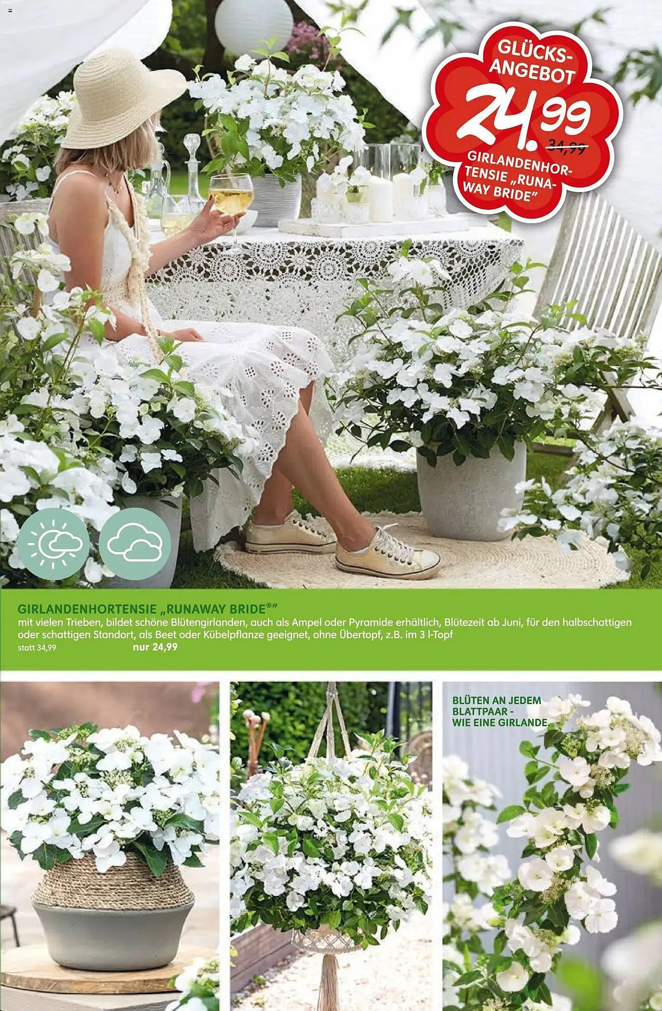 Blumen Risse Prospekt von 16. April bis 26. April 2026 - Prospekt seite 11