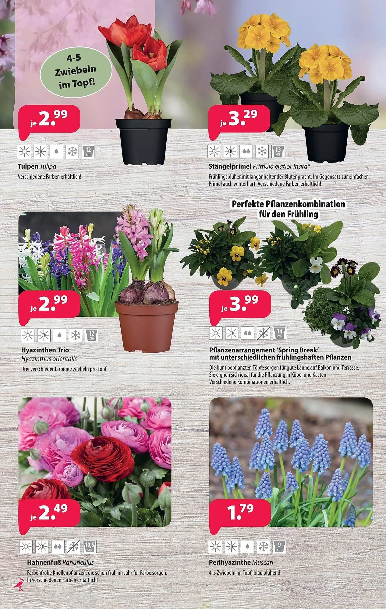 Kiebitzmarkt Prospekt von 7. März bis 14. März 2026 - Prospekt seite 10