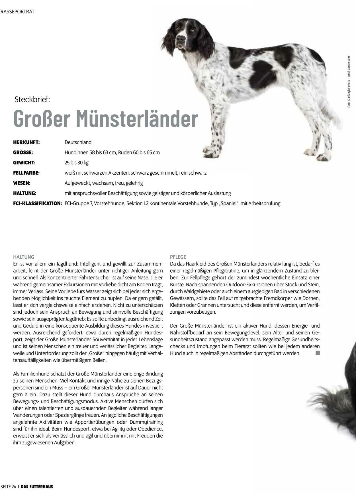 Futterhaus Aktueller Prospekt von 1. Mai bis 31. Mai 2025 - Prospekt seite 24