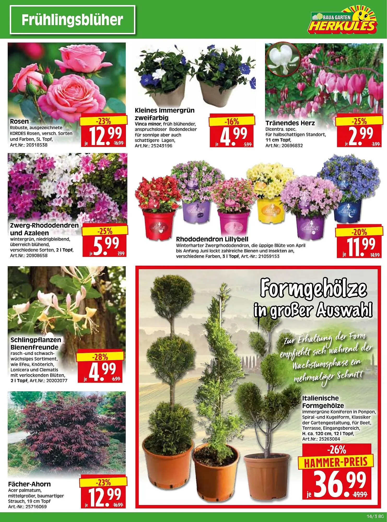 Herkules Baumarkt Prospekt von 31. März bis 5. April 2025 - Prospekt seite 3