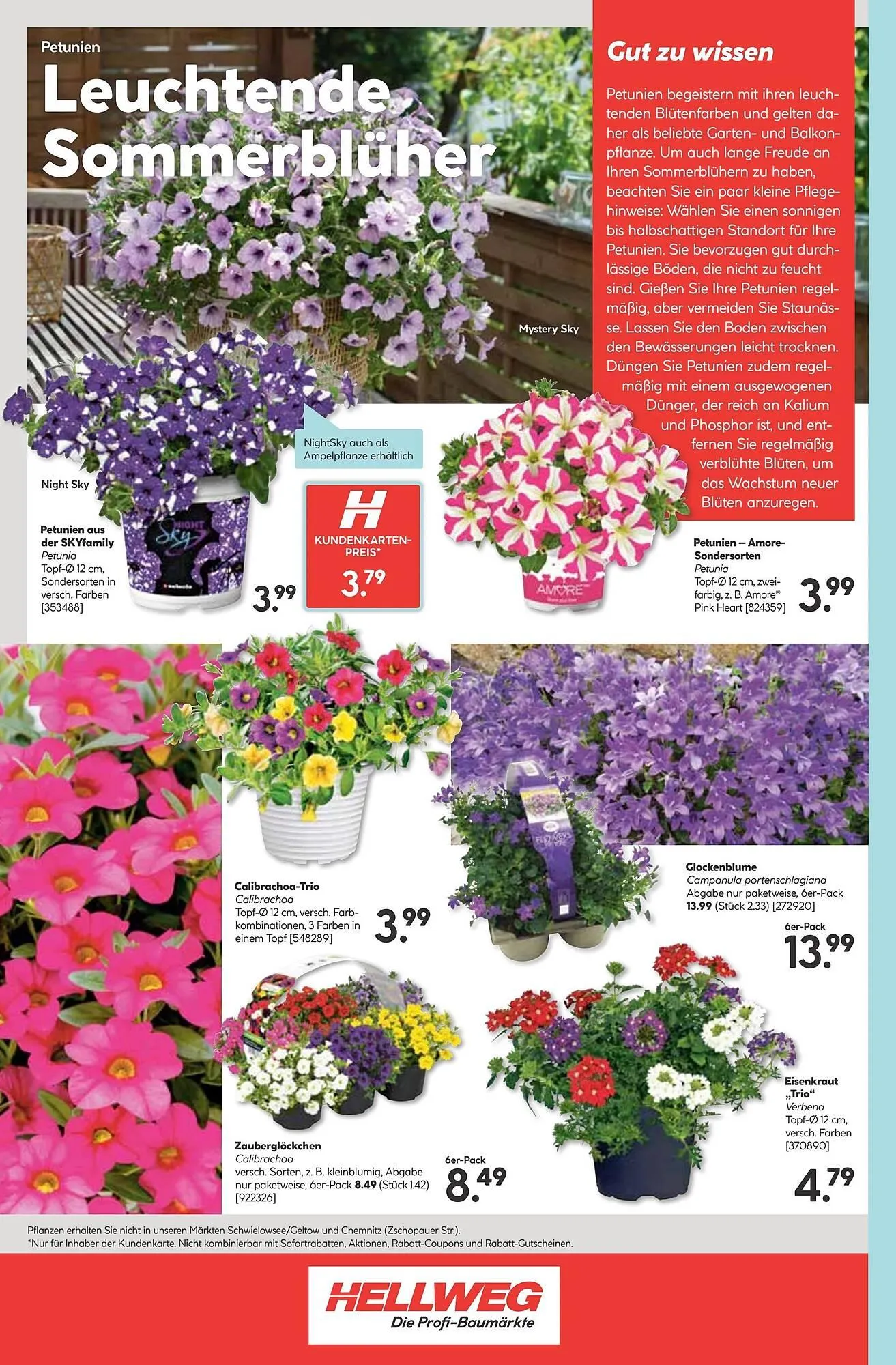 Hellweg Prospekt von 22. April bis 26. April 2025 - Prospekt seite 24