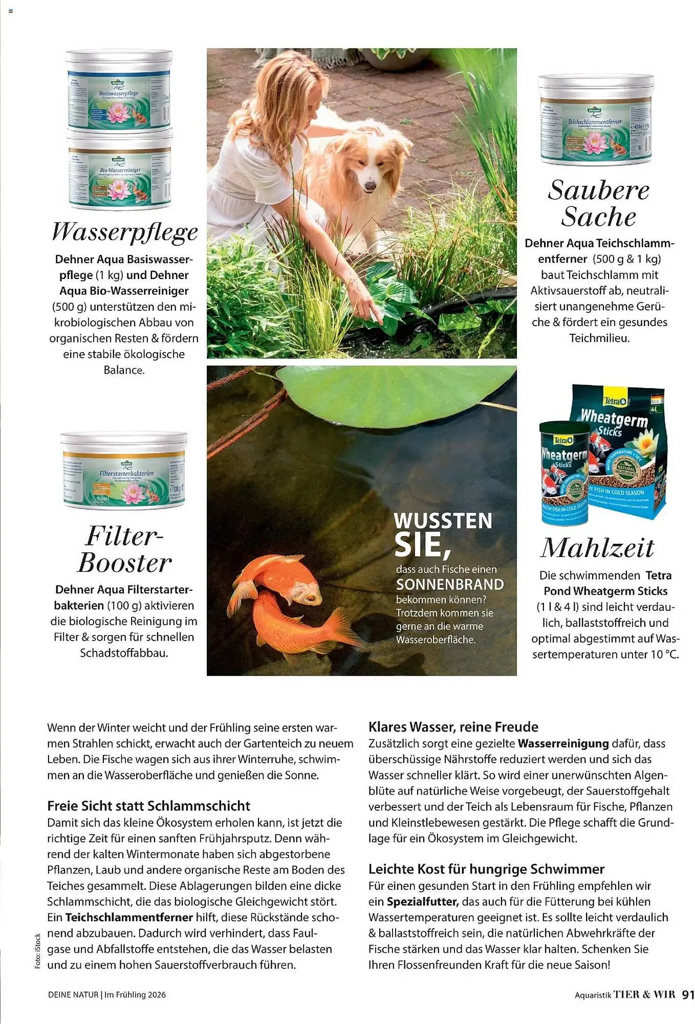 Dehner Prospekt von 4. März bis 31. Mai 2026 - Prospekt seite 91