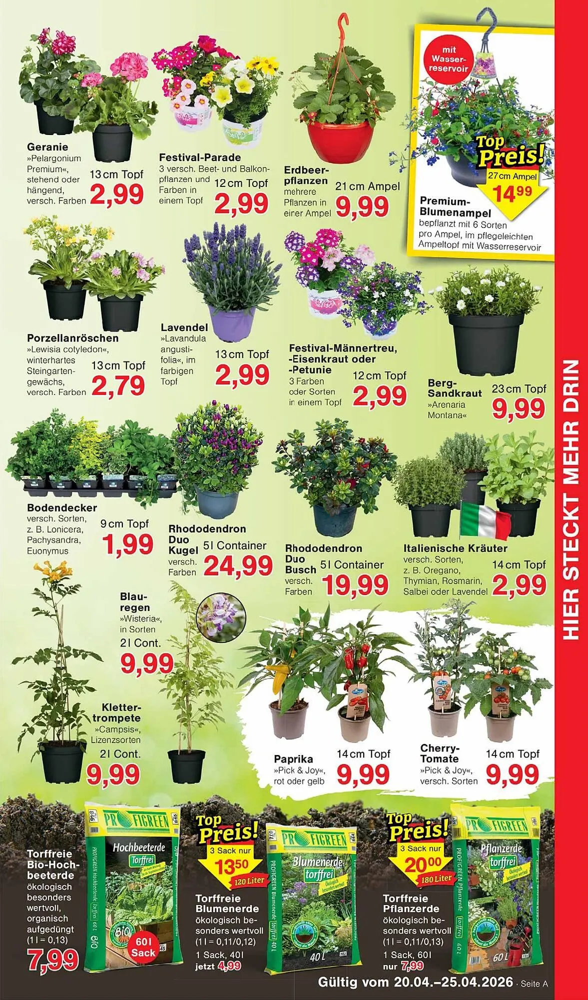 Wiglo Wunderland Prospekt von 20. April bis 25. April 2026 - Prospekt seite 7