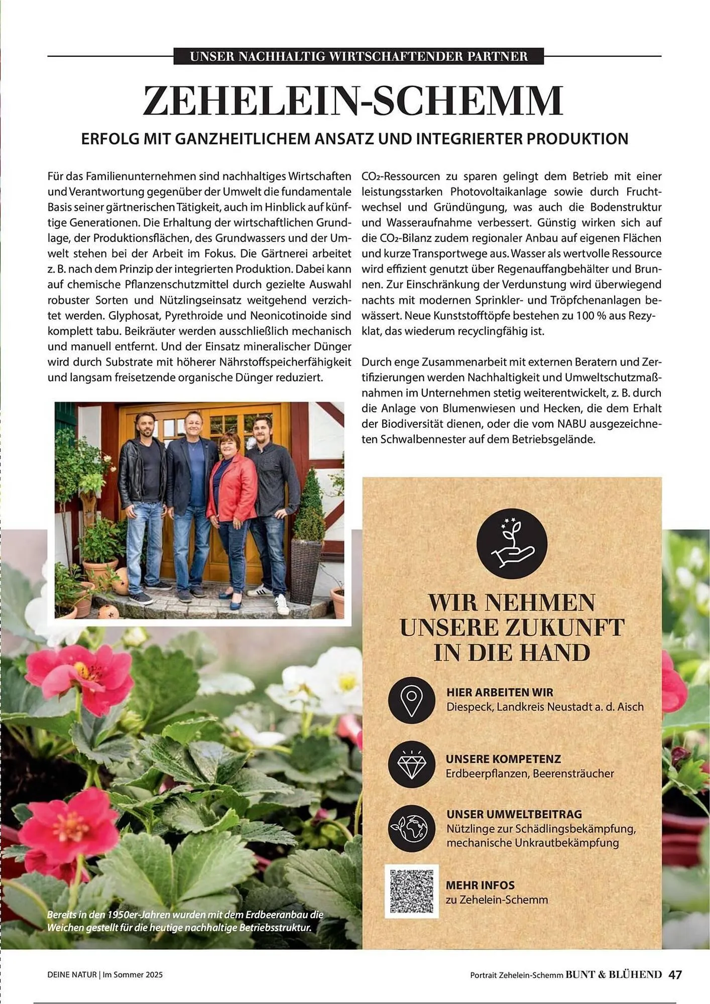 Dehner Prospekt von 1. Juli bis 31. Dezember 2025 - Prospekt seite 47