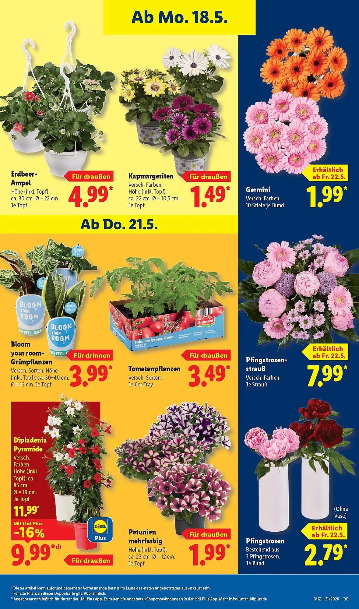 Lidl Prospekt von 17. Mai bis 23. Mai 2026 - Prospekt seite 71