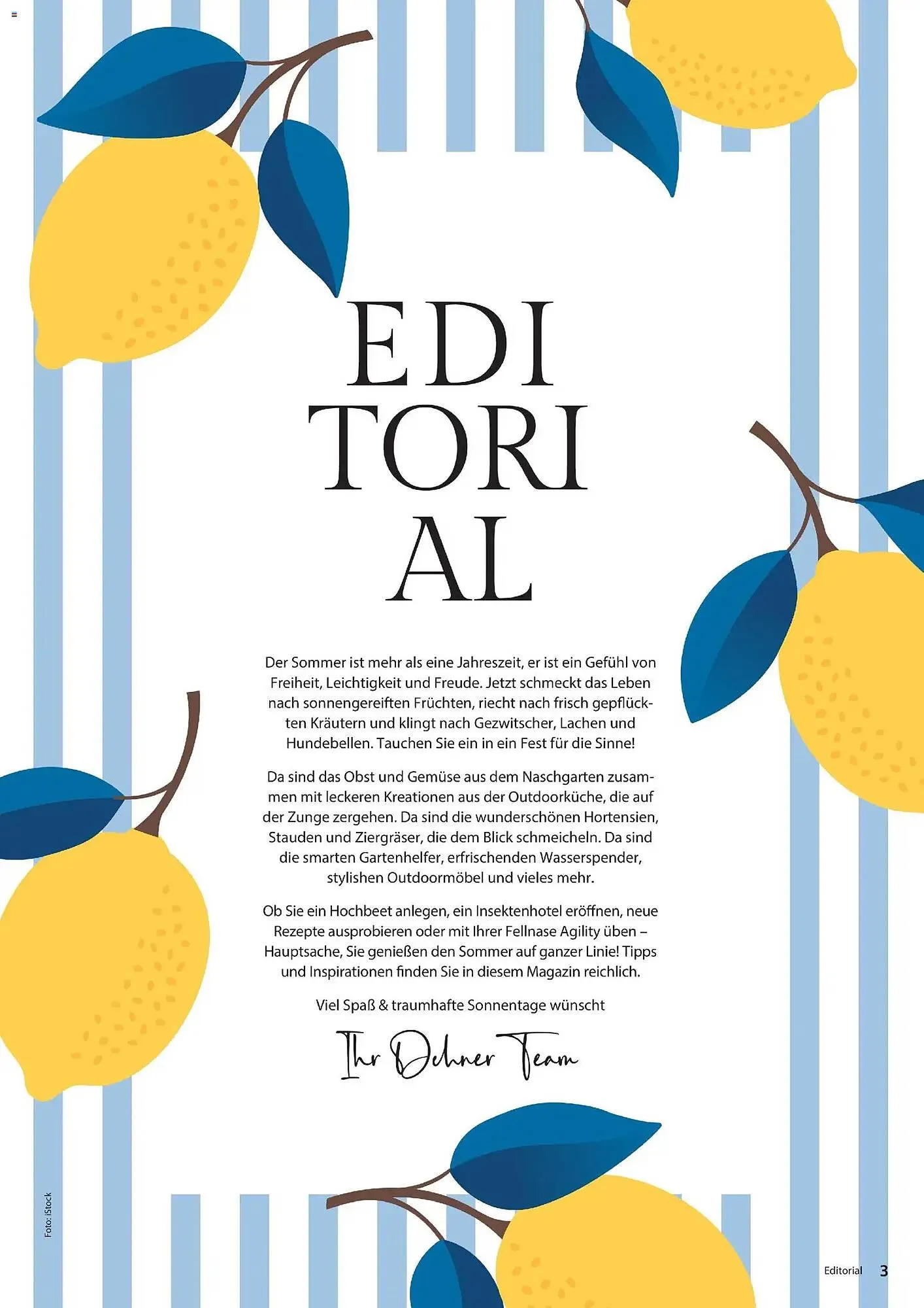 Dehner Prospekt von 17. April bis 31. August 2026 - Prospekt seite 3