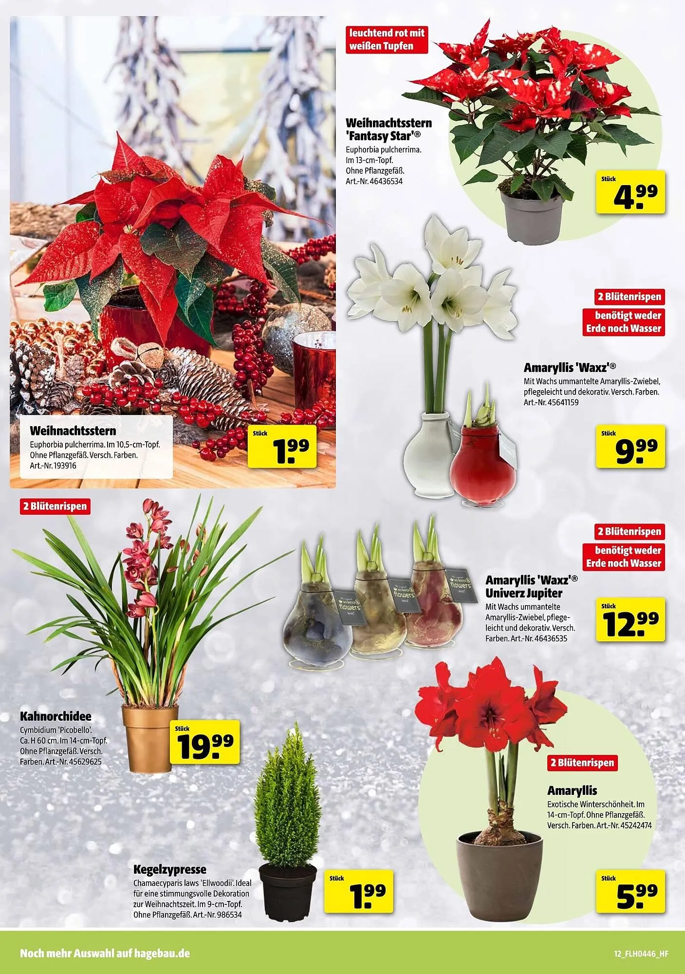 Hagebau Prospekt von 8. November bis 15. November 2025 - Prospekt seite 12