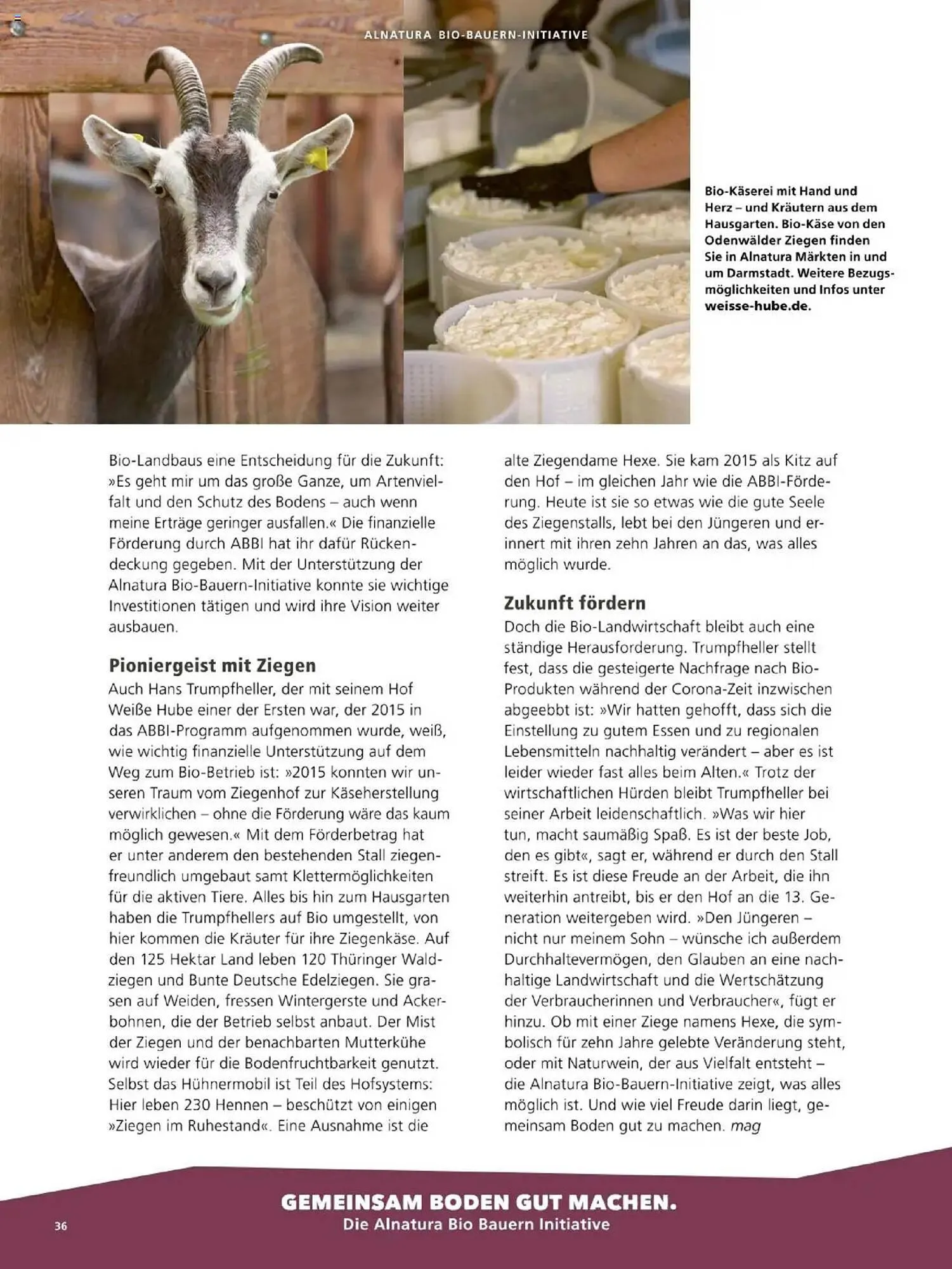 Alnatura Prospekt von 1. Oktober bis 31. Oktober 2025 - Prospekt seite 36